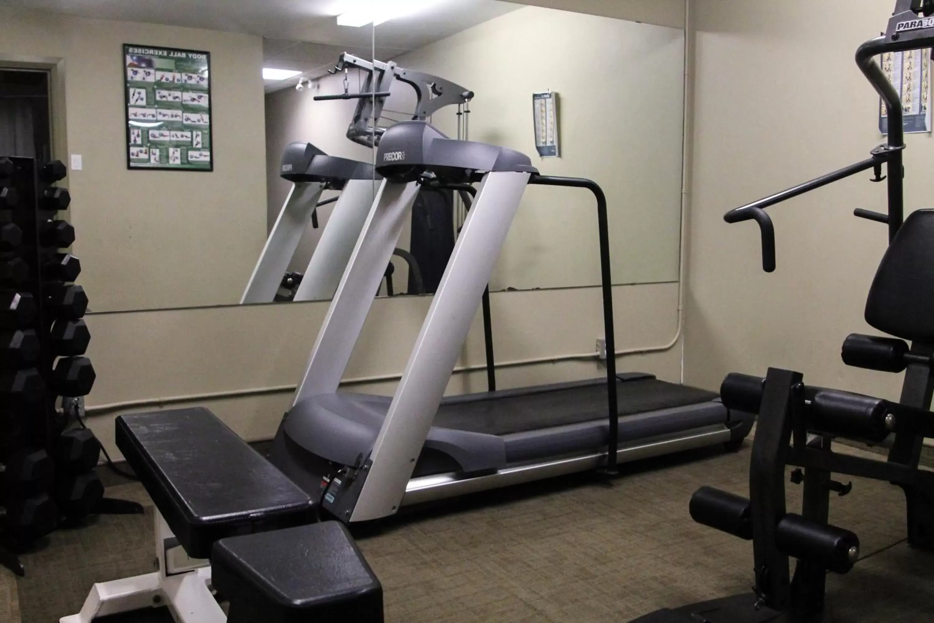 Fitness centre/facilities, Fitness Center/Facilities in WelcomINNS Ottawa