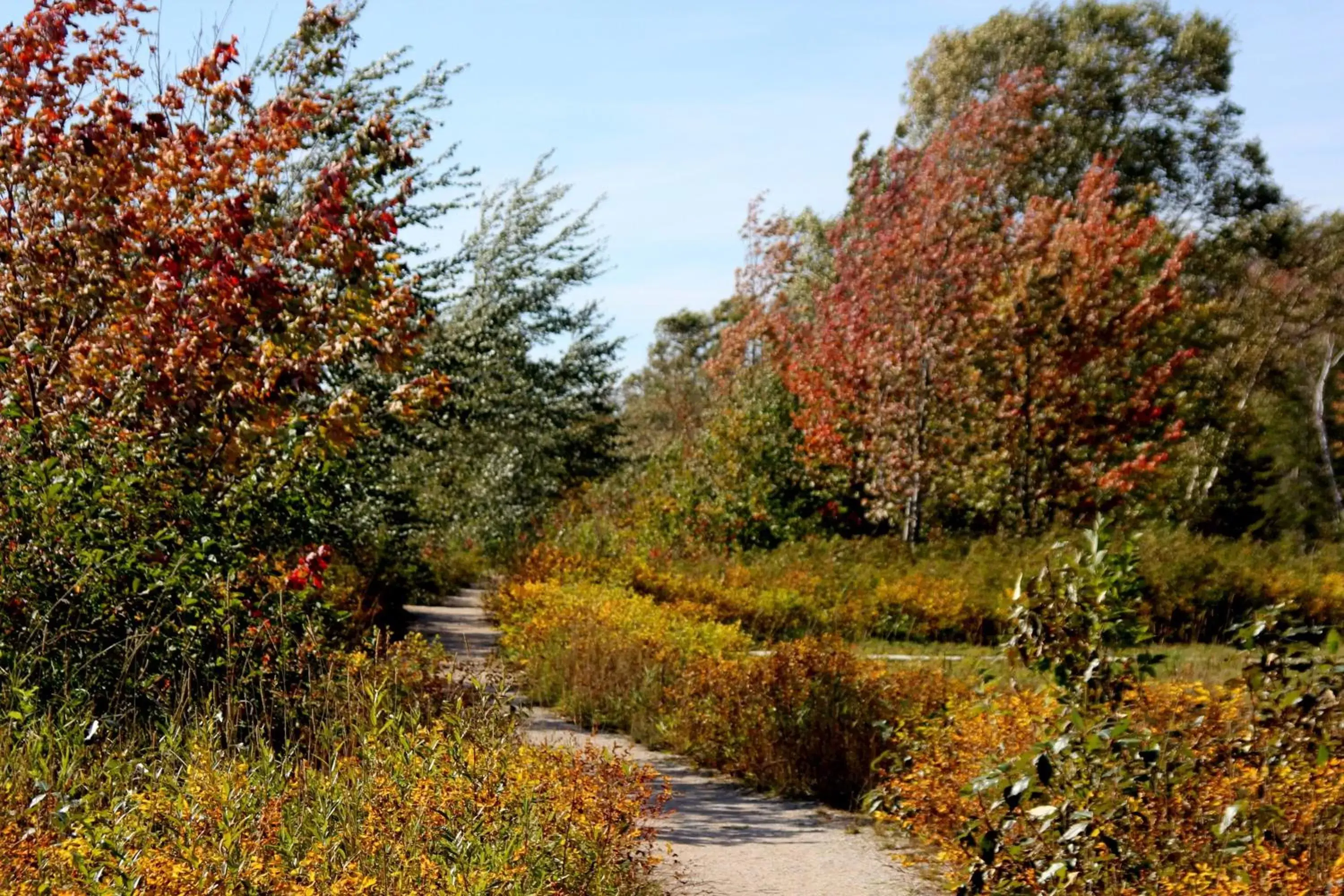 Other, Natural Landscape in Holiday Inn Express Deer Lake, an IHG Hotel