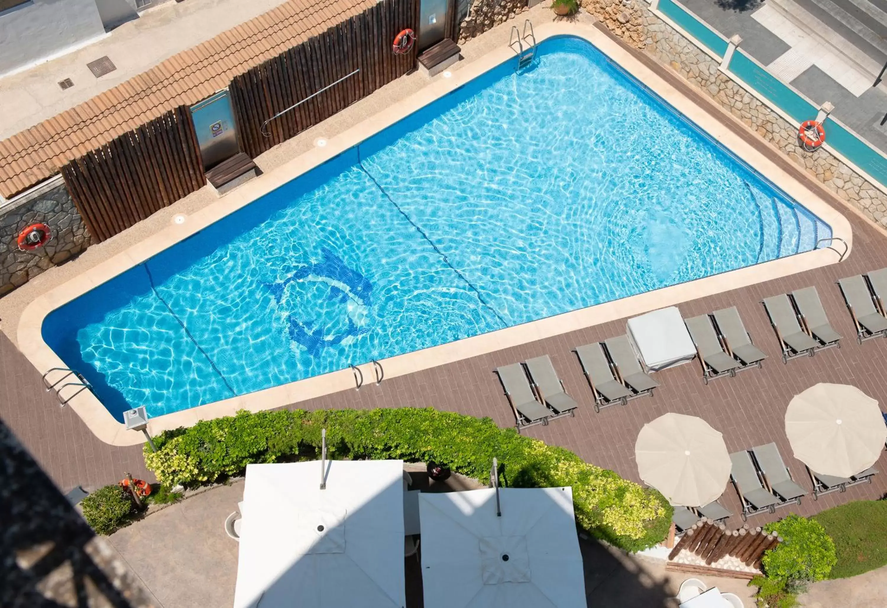 Swimming pool, Pool View in Playas del Rey