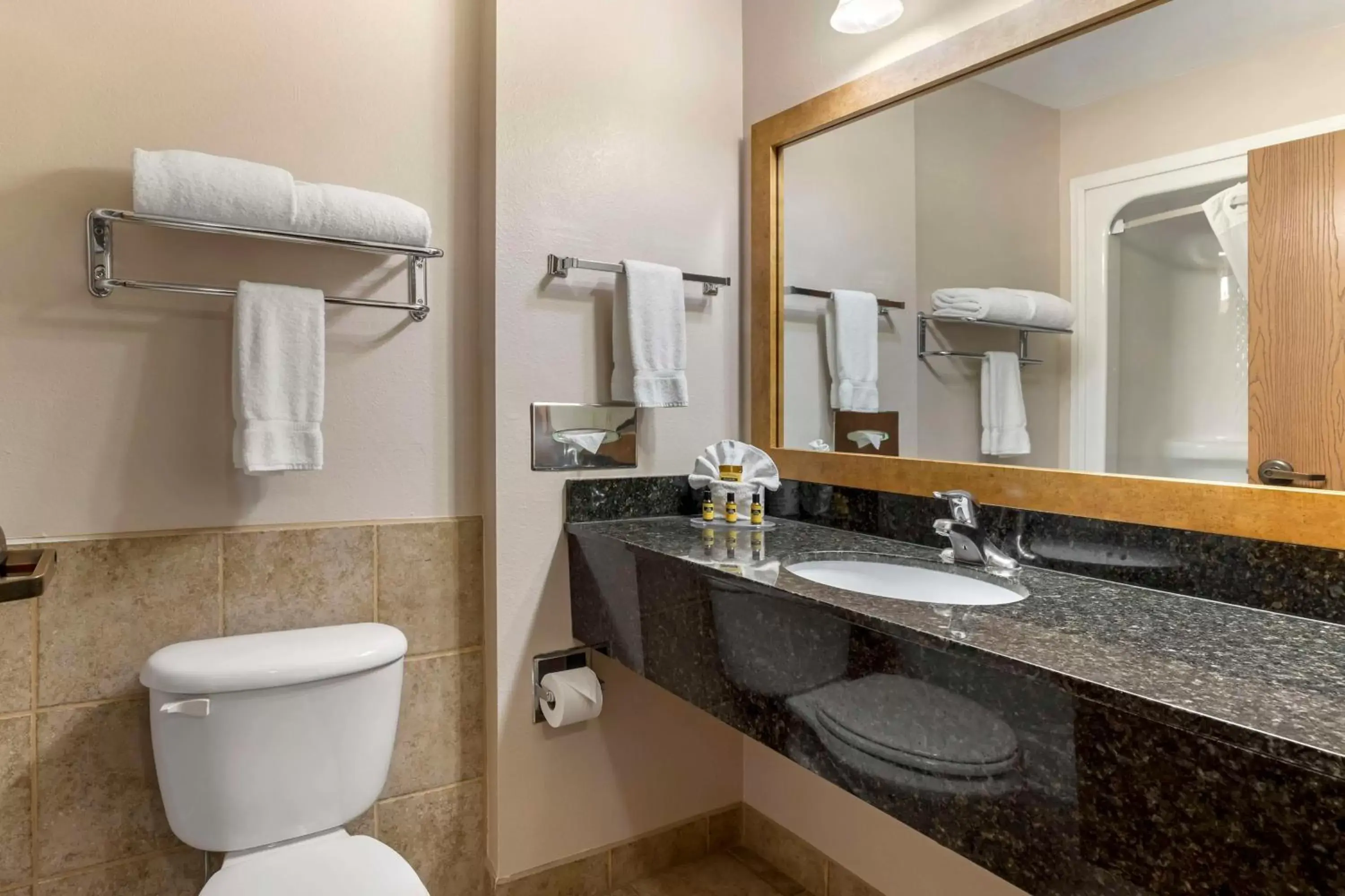 Bathroom in Best Western Plus Country Inn & Suites