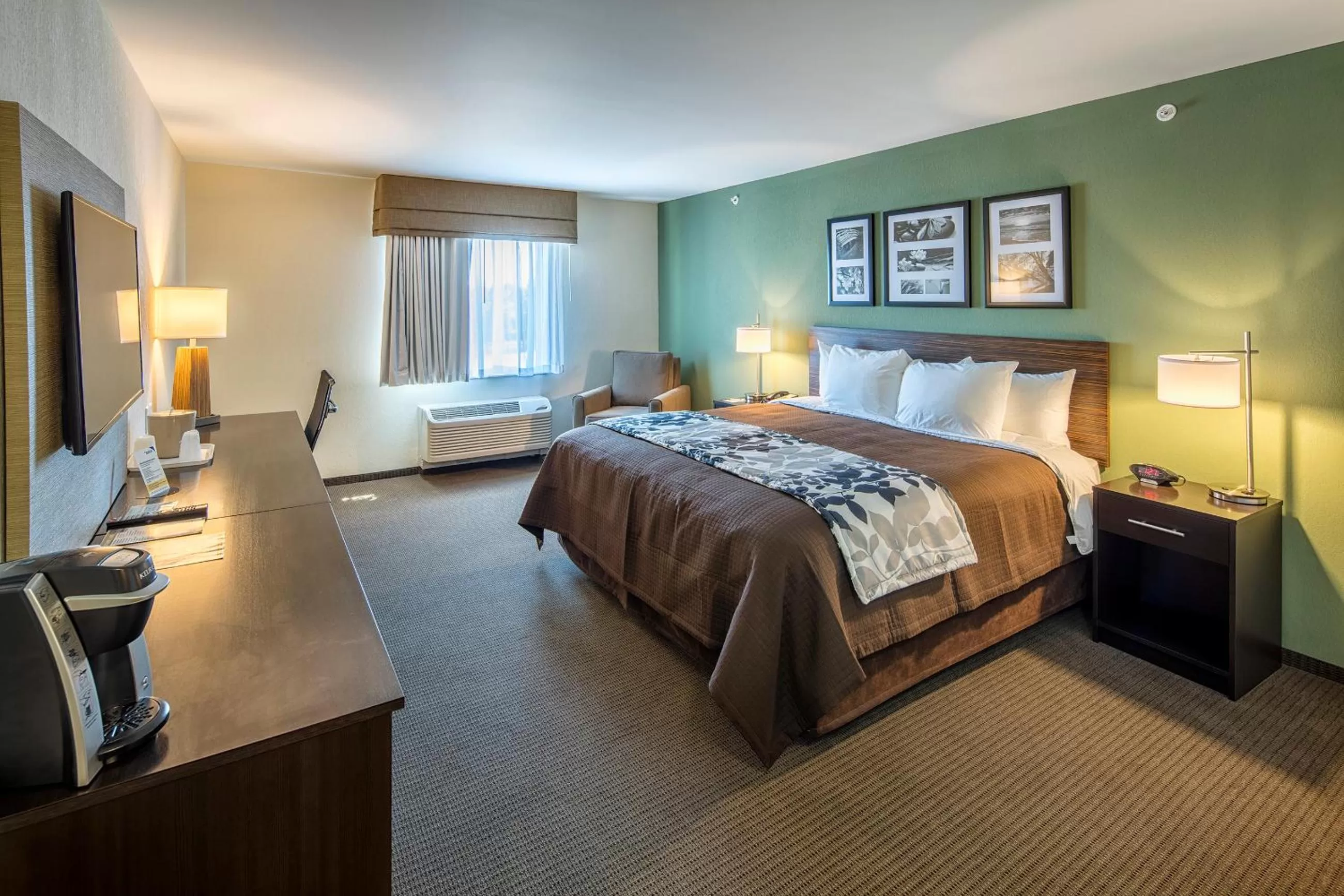 TV and multimedia, Bed in Sleep Inn & Suites Syracuse Airport