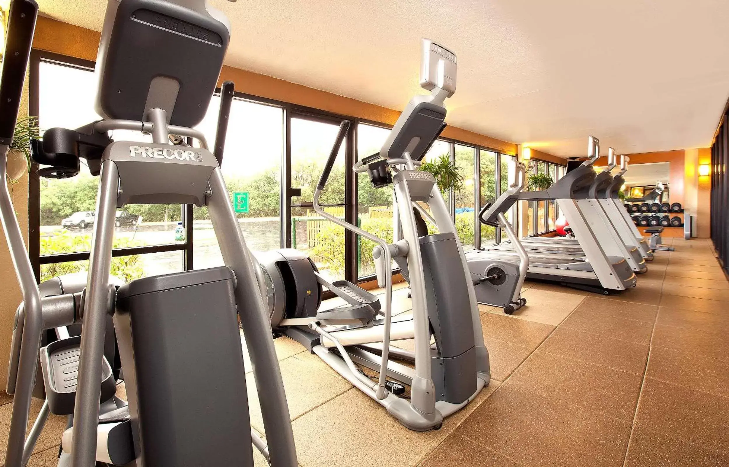 Fitness centre/facilities, Fitness Center/Facilities in Embassy Suites by Hilton Chicago Schaumburg Woodfield