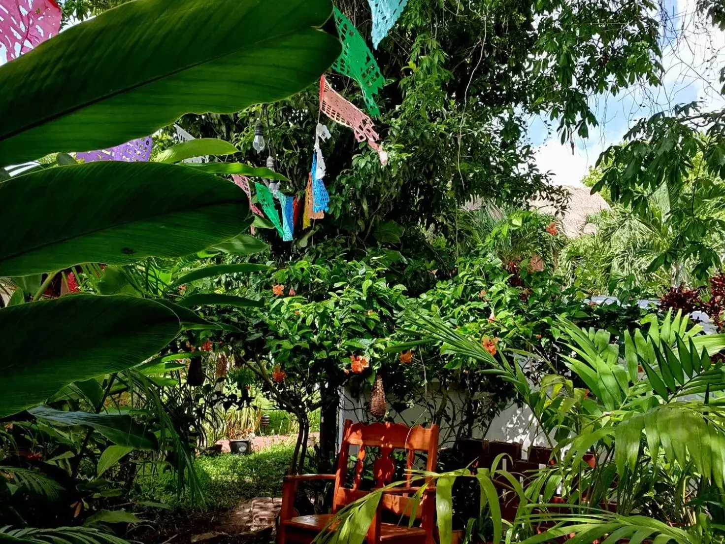 Cabañas Colibrí