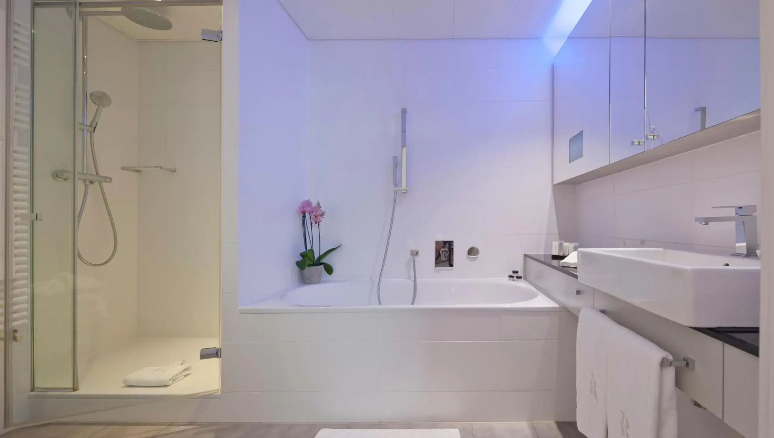 Bathroom in Swiss Luxury Apartments