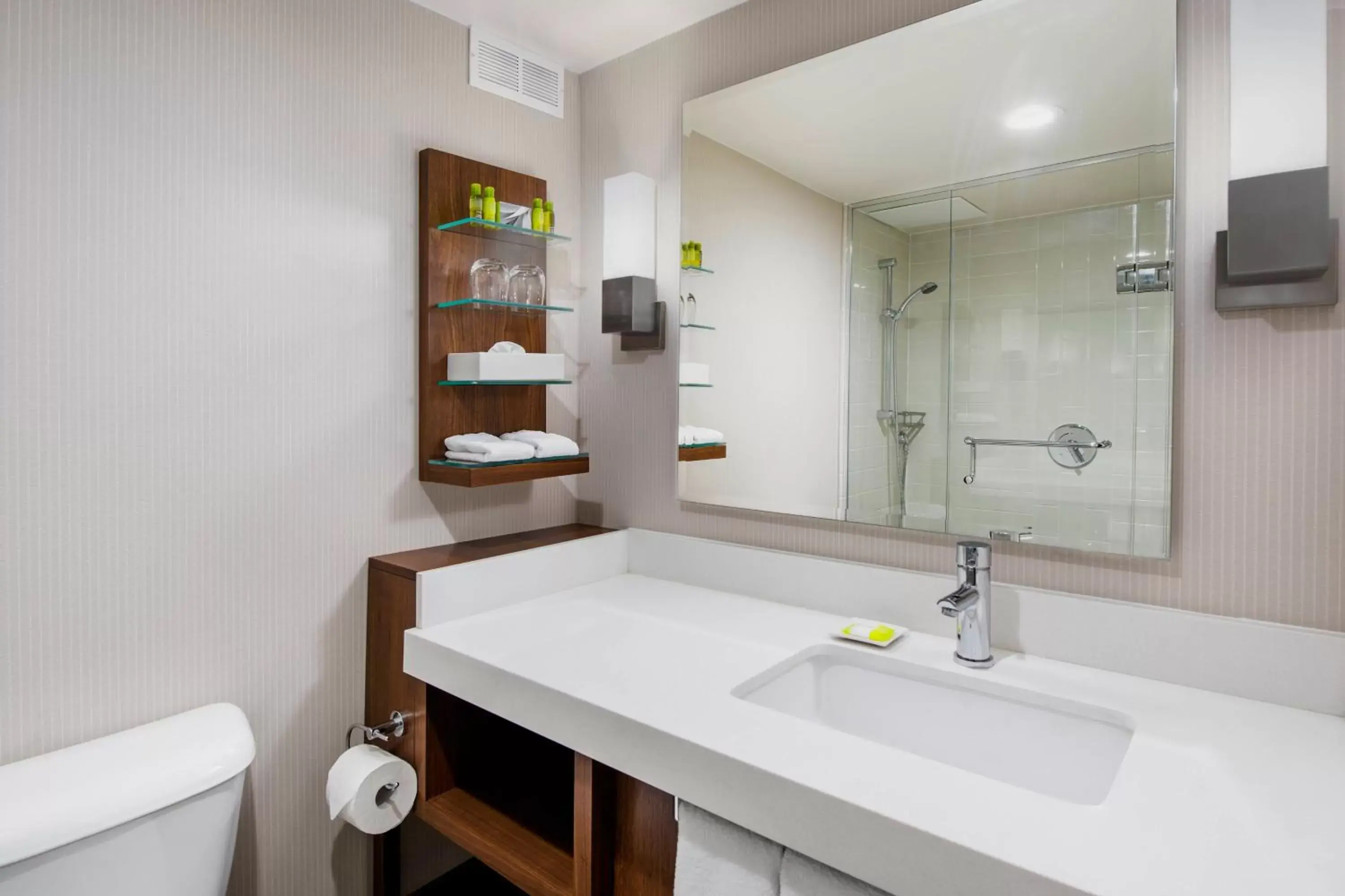 Bathroom in Delta Hotels by Marriott Regina
