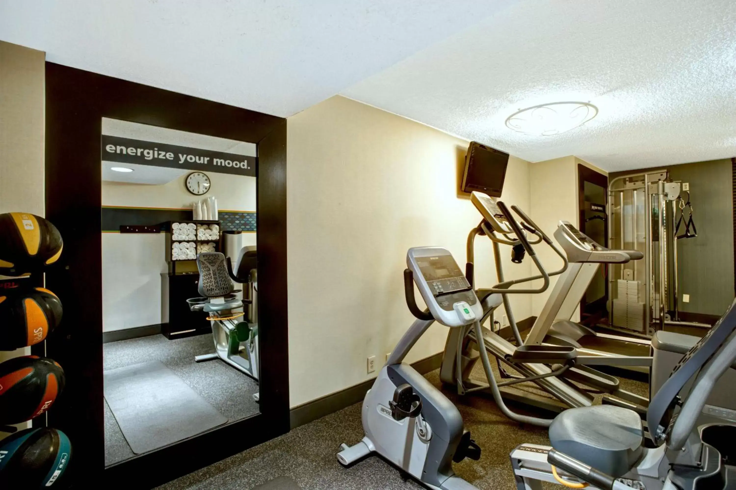 Fitness centre/facilities, Fitness Center/Facilities in Hampton Inn College Station-Near Texas A&M University