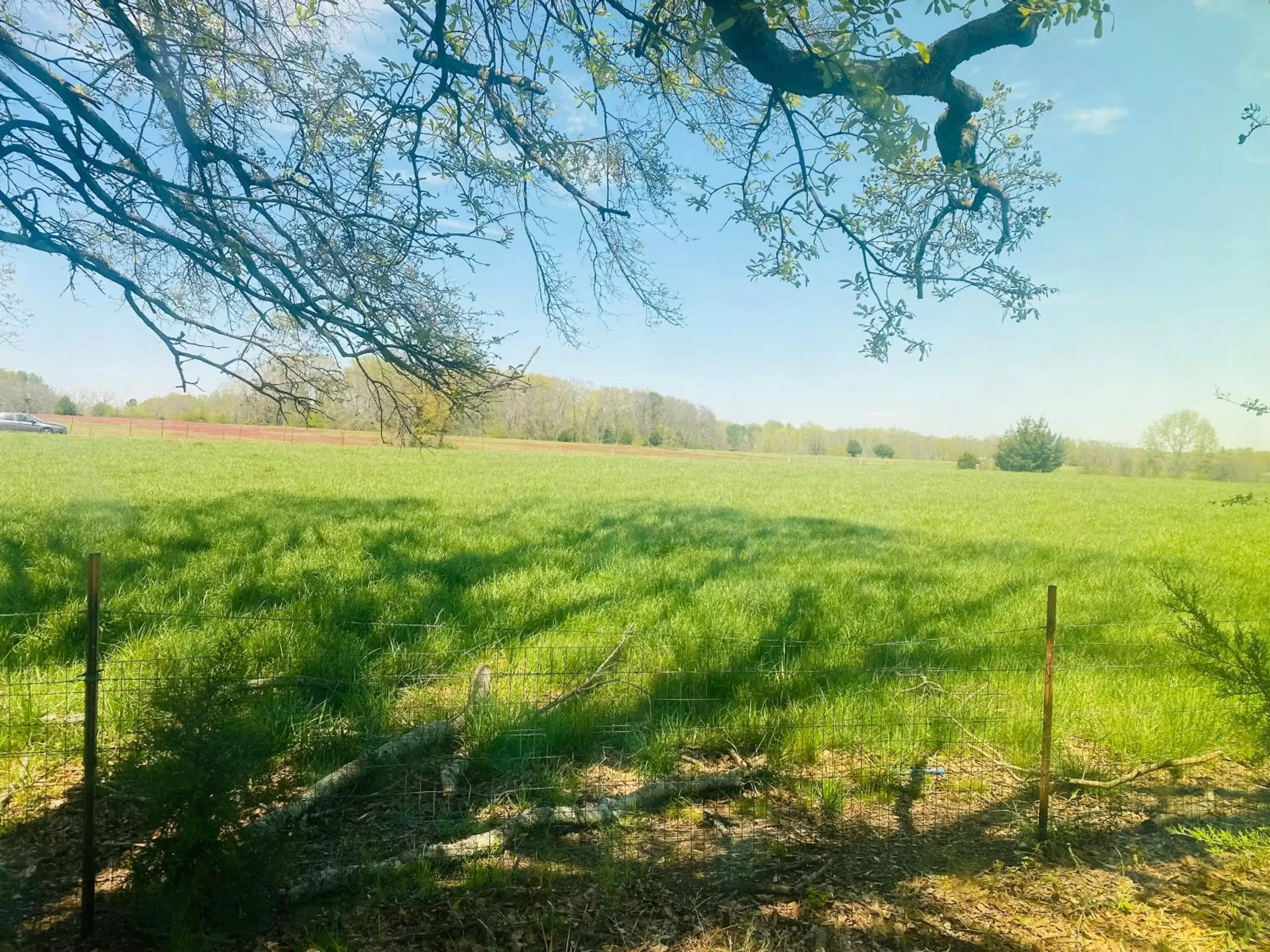 View (from property/room) in Belton Bed and Breakfast