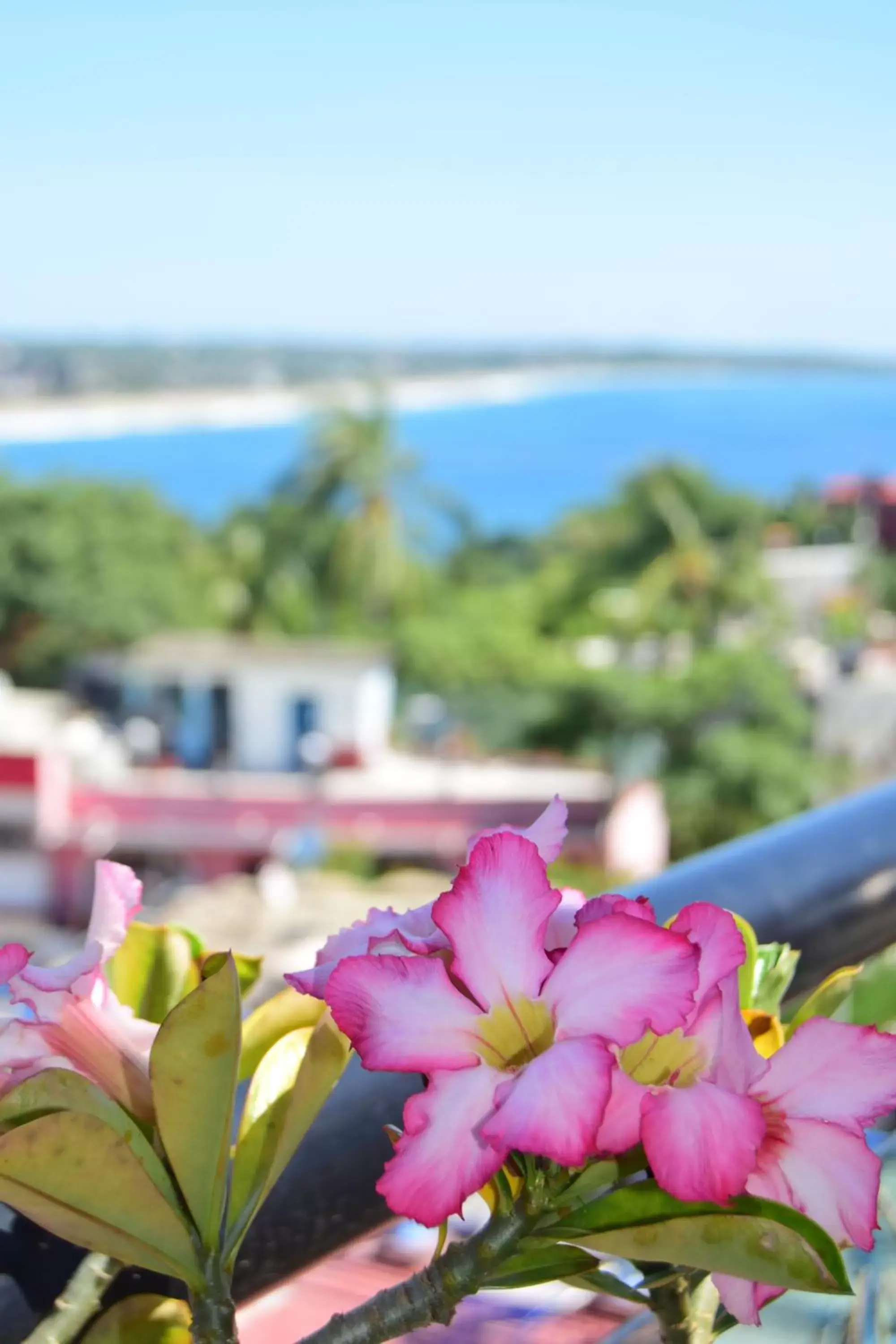 Natural landscape in Hotel El Mirador