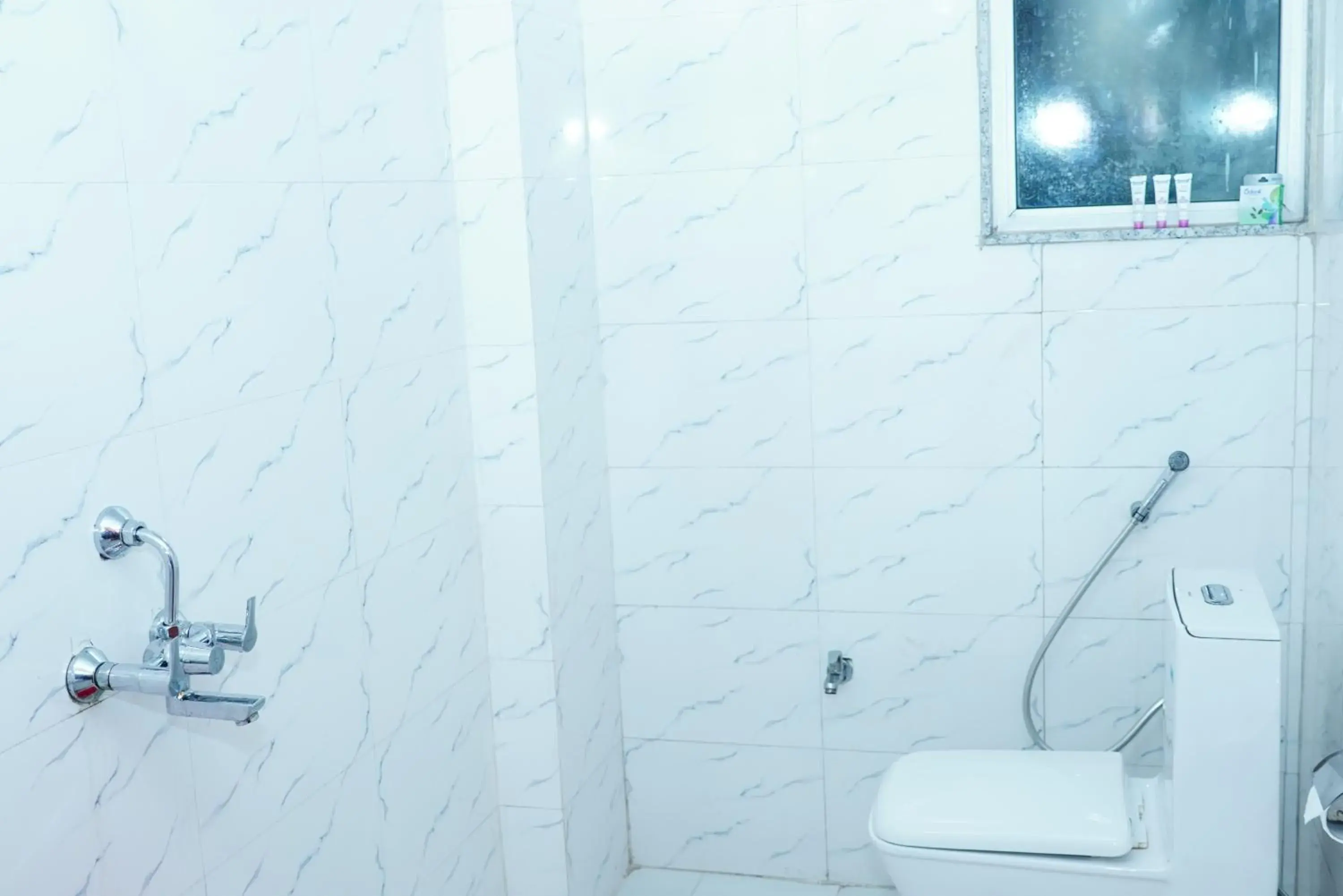 Shower, Bathroom in ExpoMart Inn
