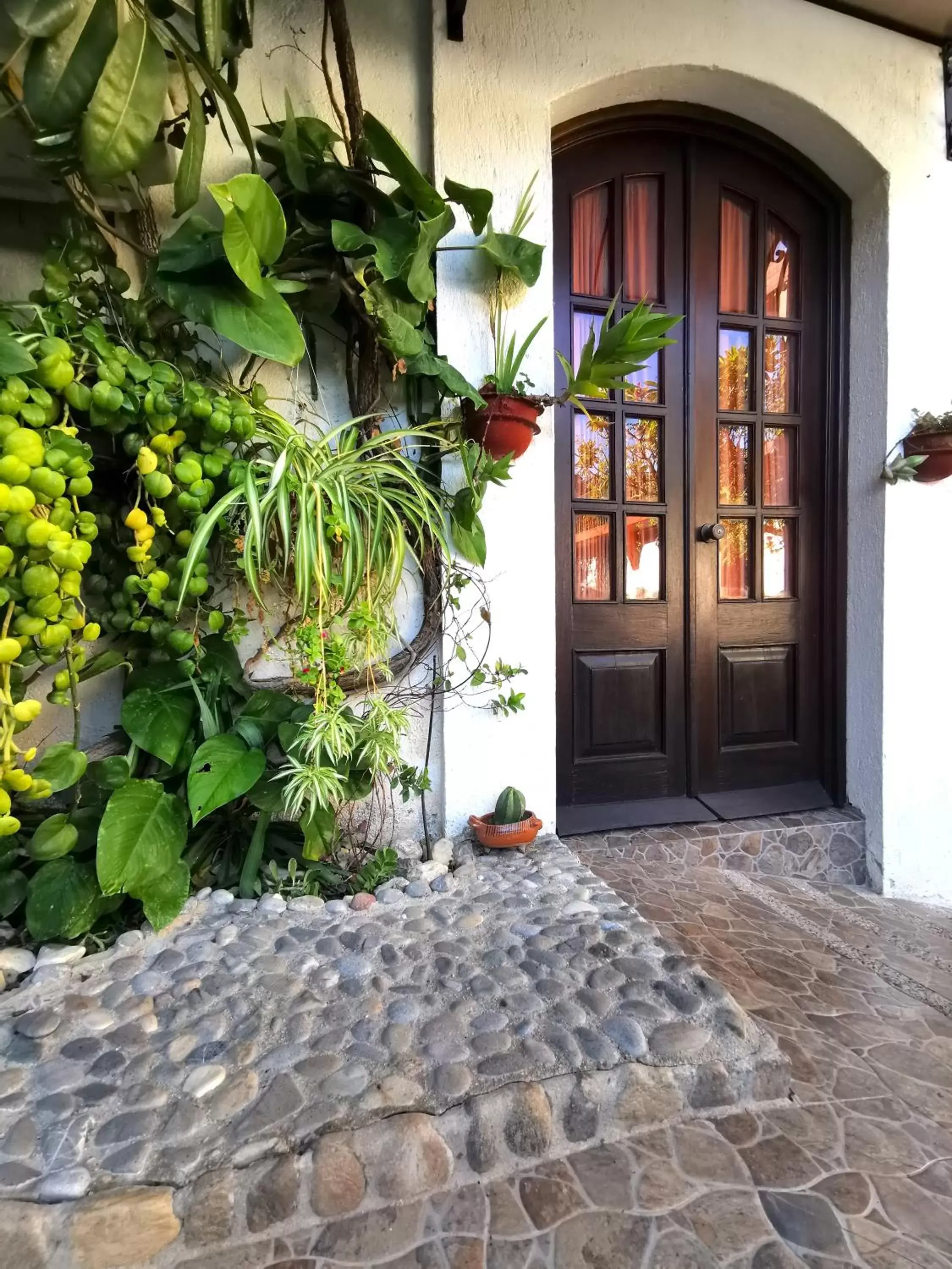 Garden view in Hotel Casa de la Tía Tere