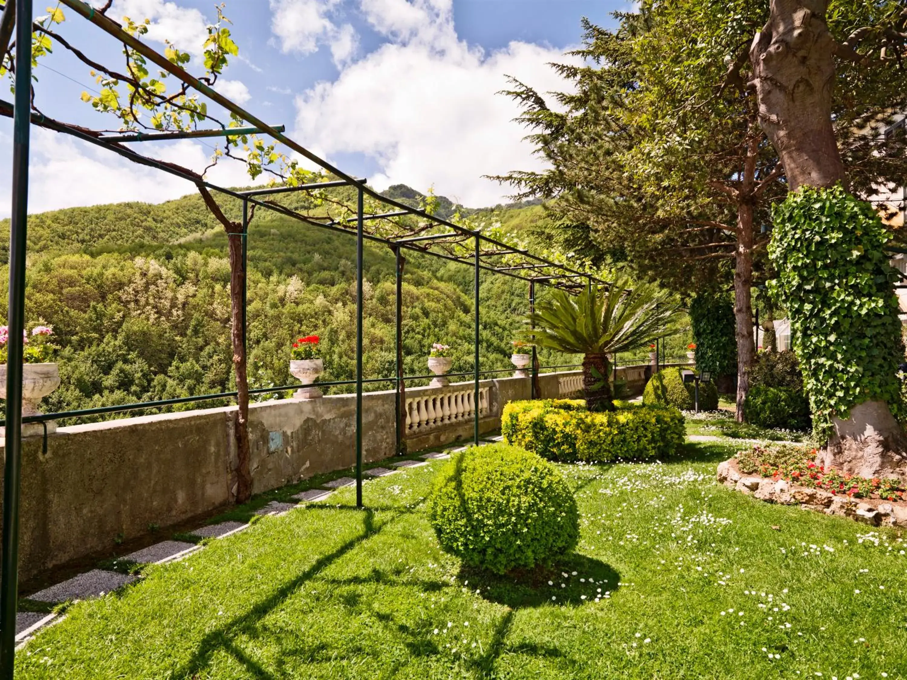 Garden in Hotel Scapolatiello