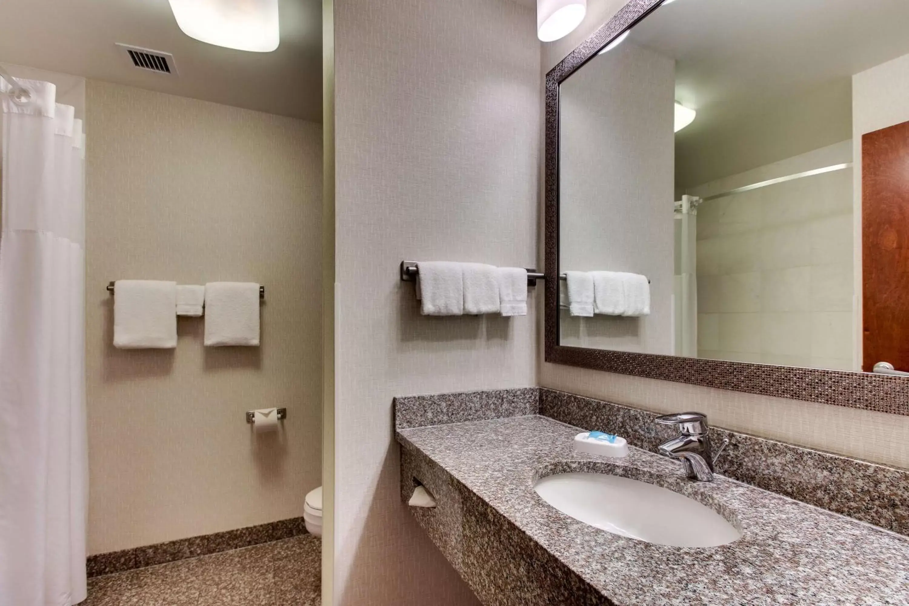 Bathroom in Drury Inn & Suites Meridian