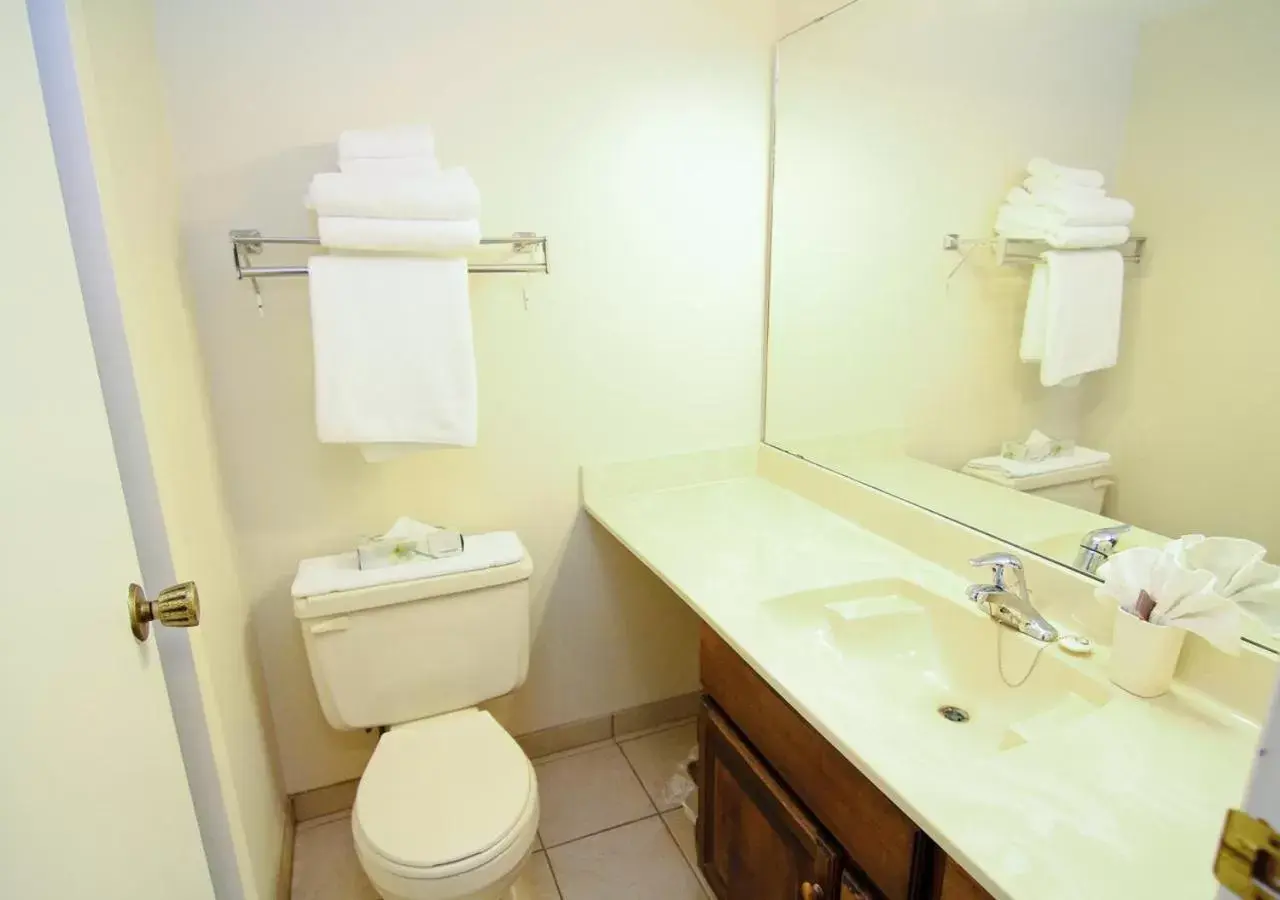 Toilet, Bathroom in Heron's Landing Hotel