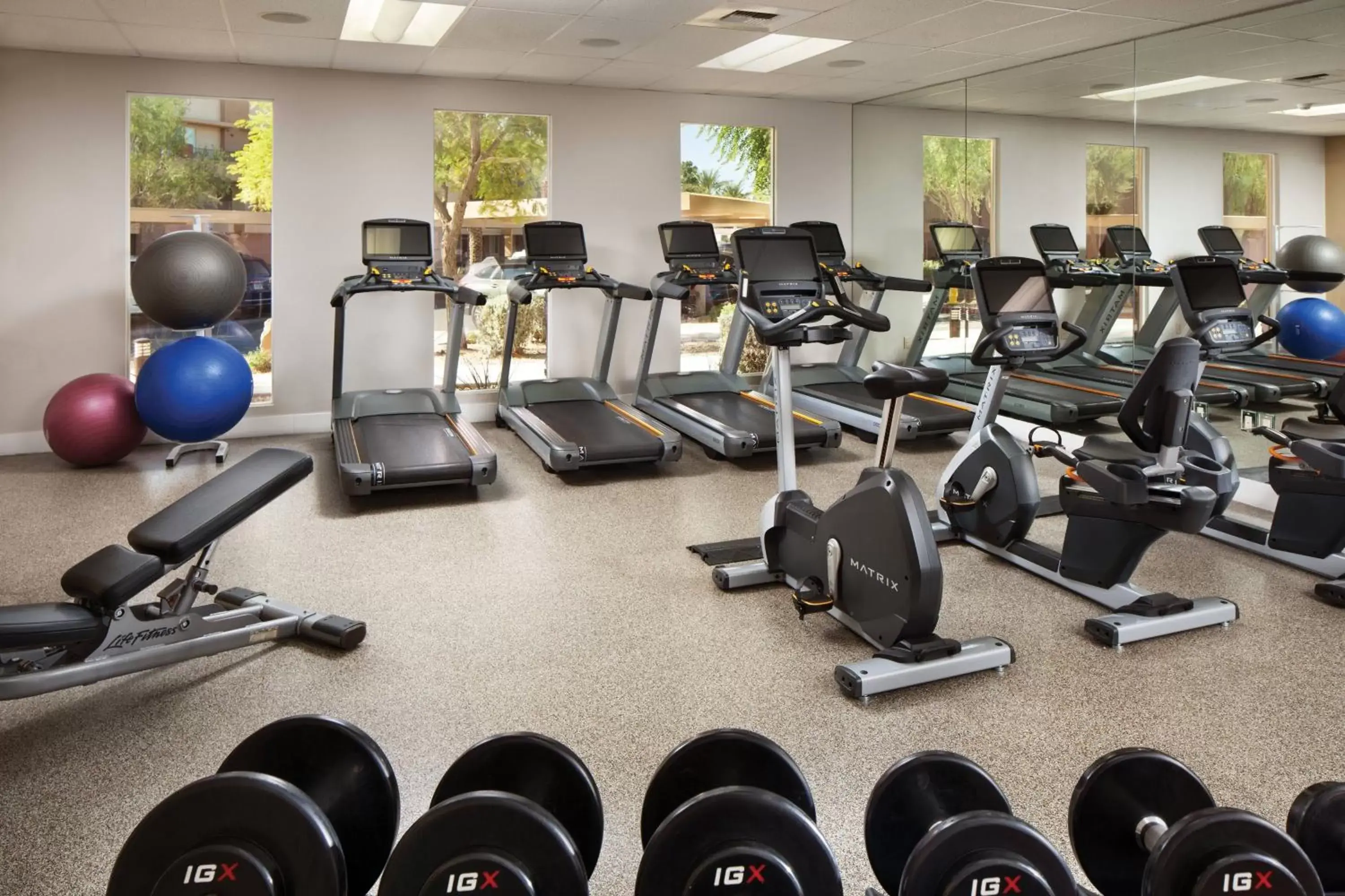 Fitness centre/facilities, Fitness Center/Facilities in Marriott's Shadow Ridge II - The Enclaves