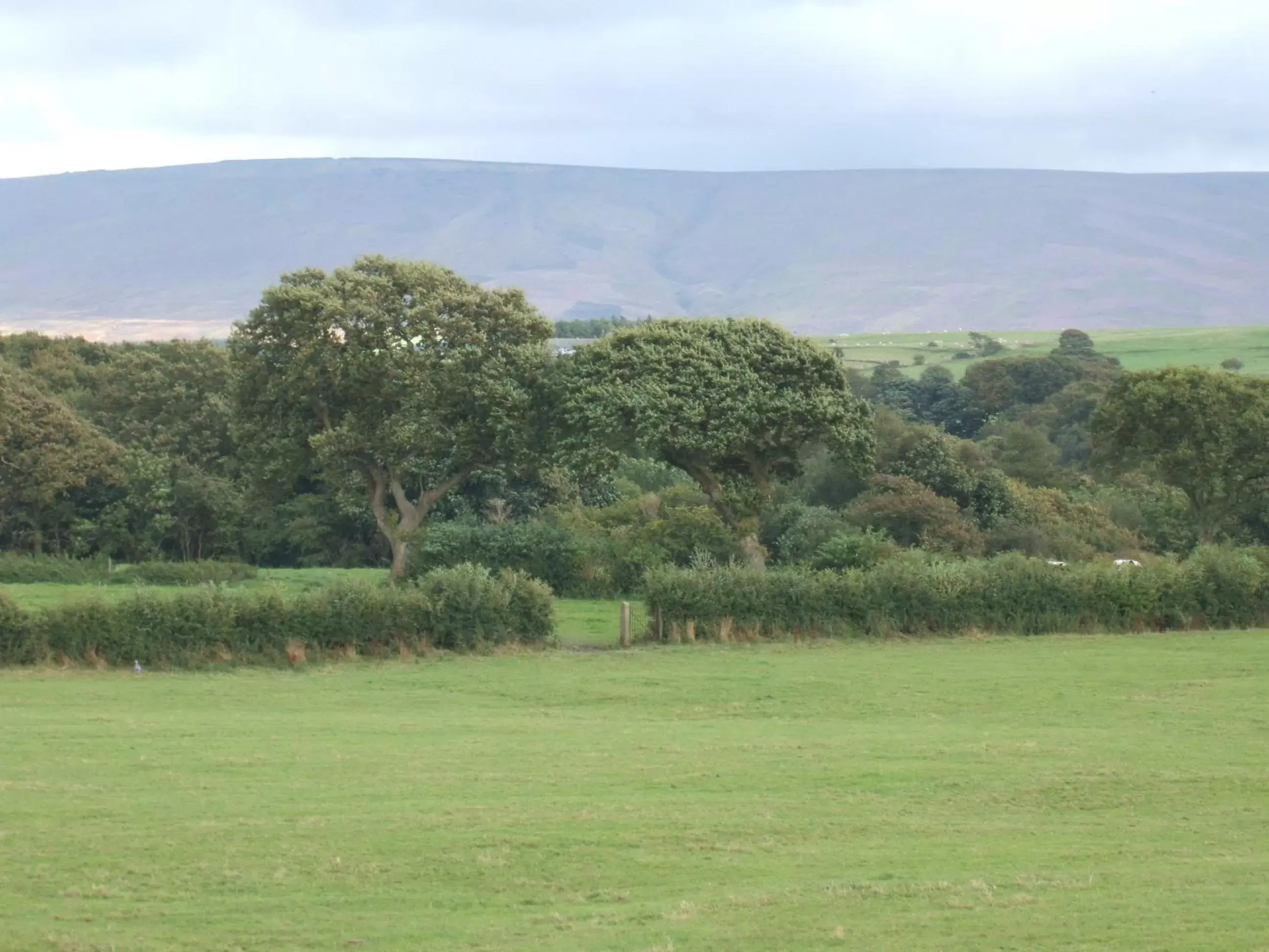 View (from property/room) in Green Bank Farmhouse