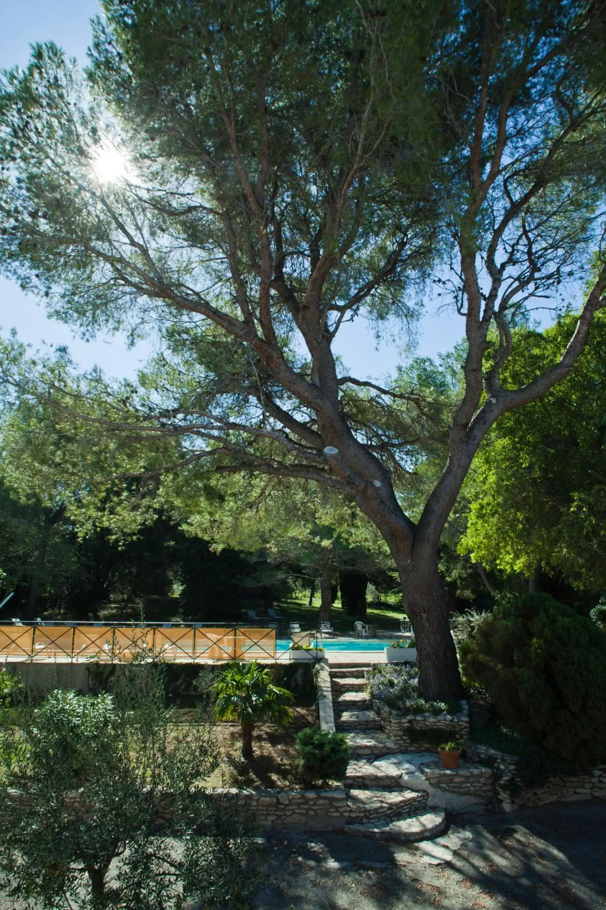 Garden in Best Western Le Val Majour