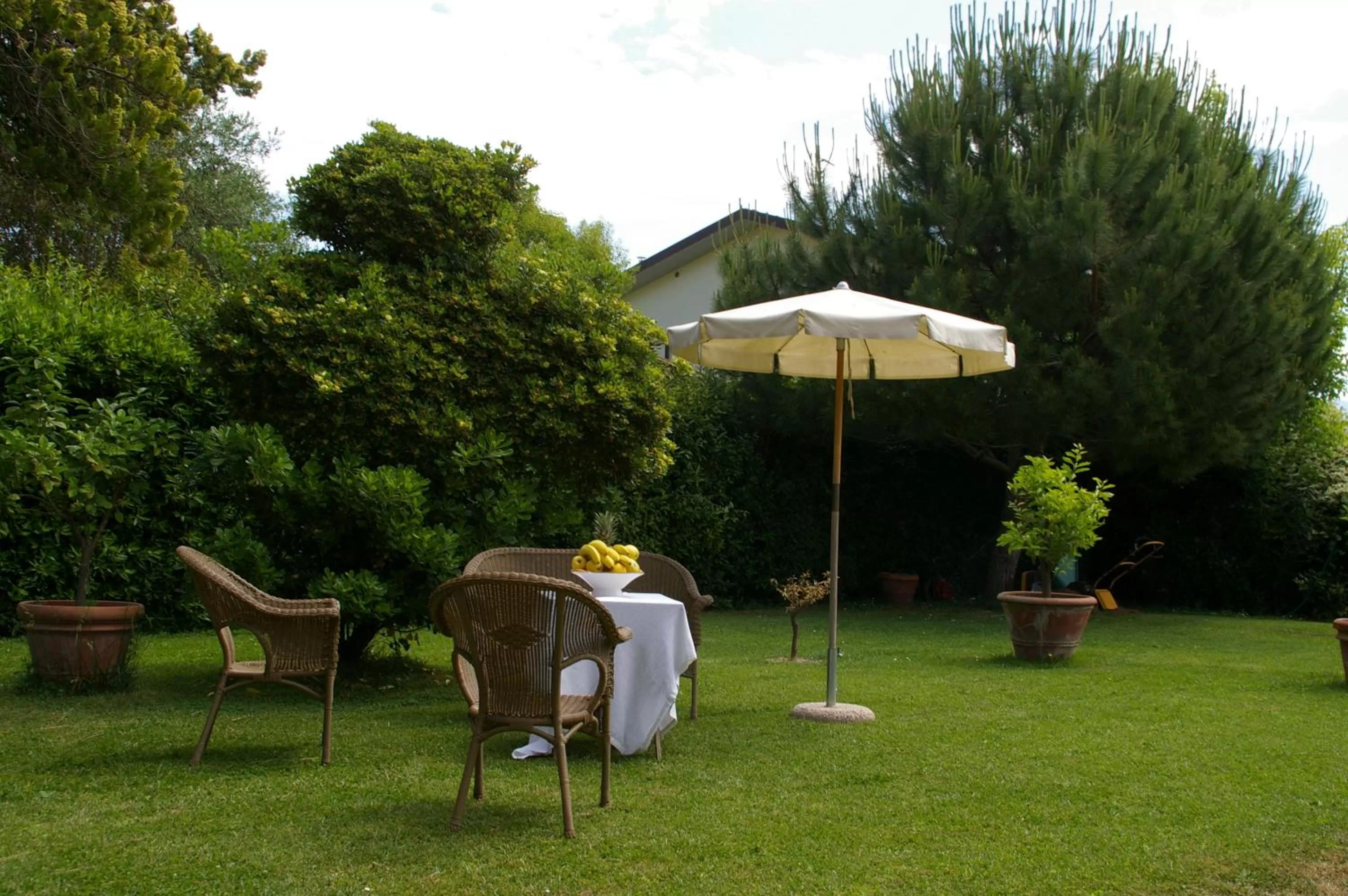 Garden in Pisa Holidays