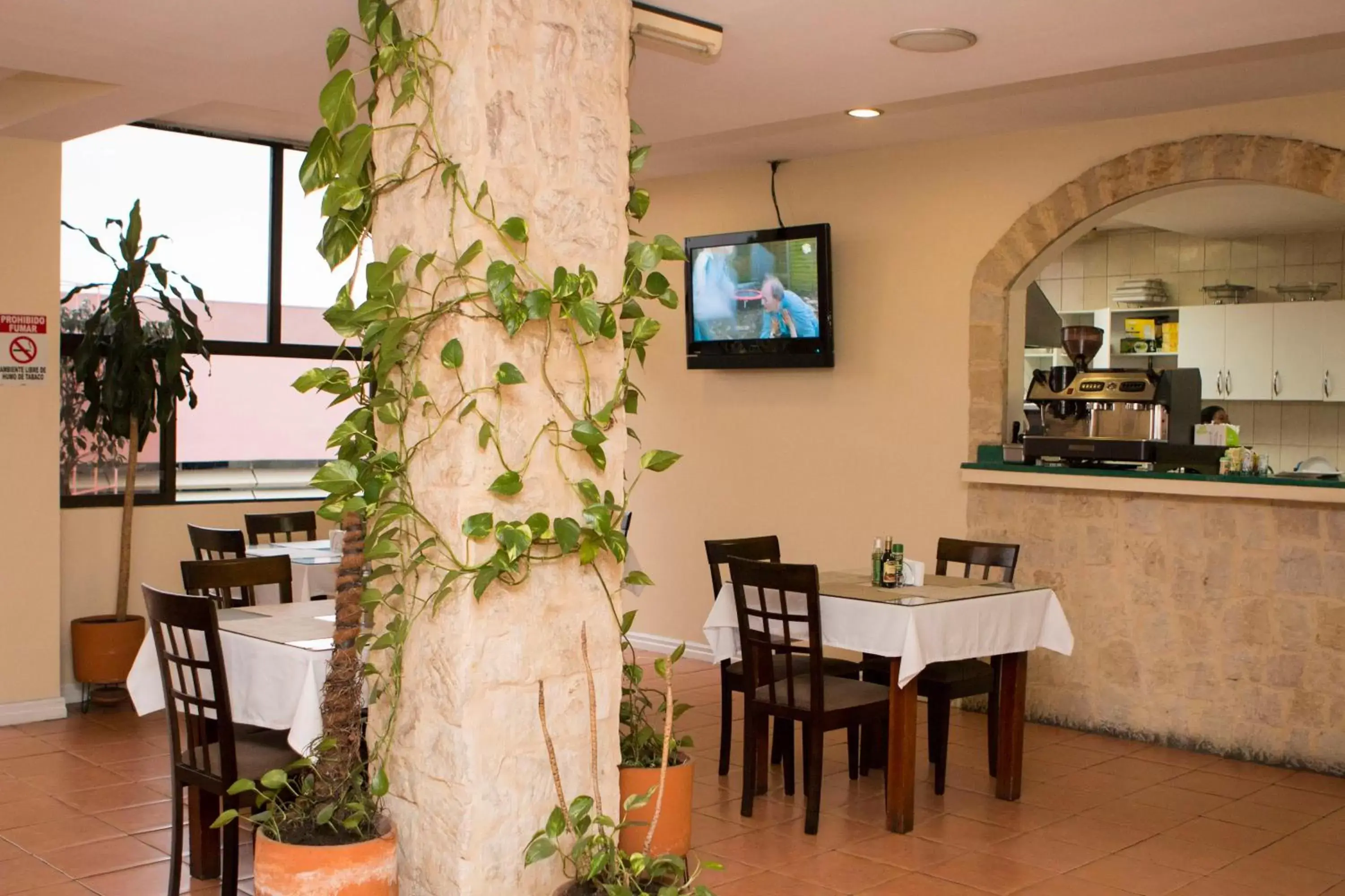 Restaurant/places to eat in Hotel Novo
