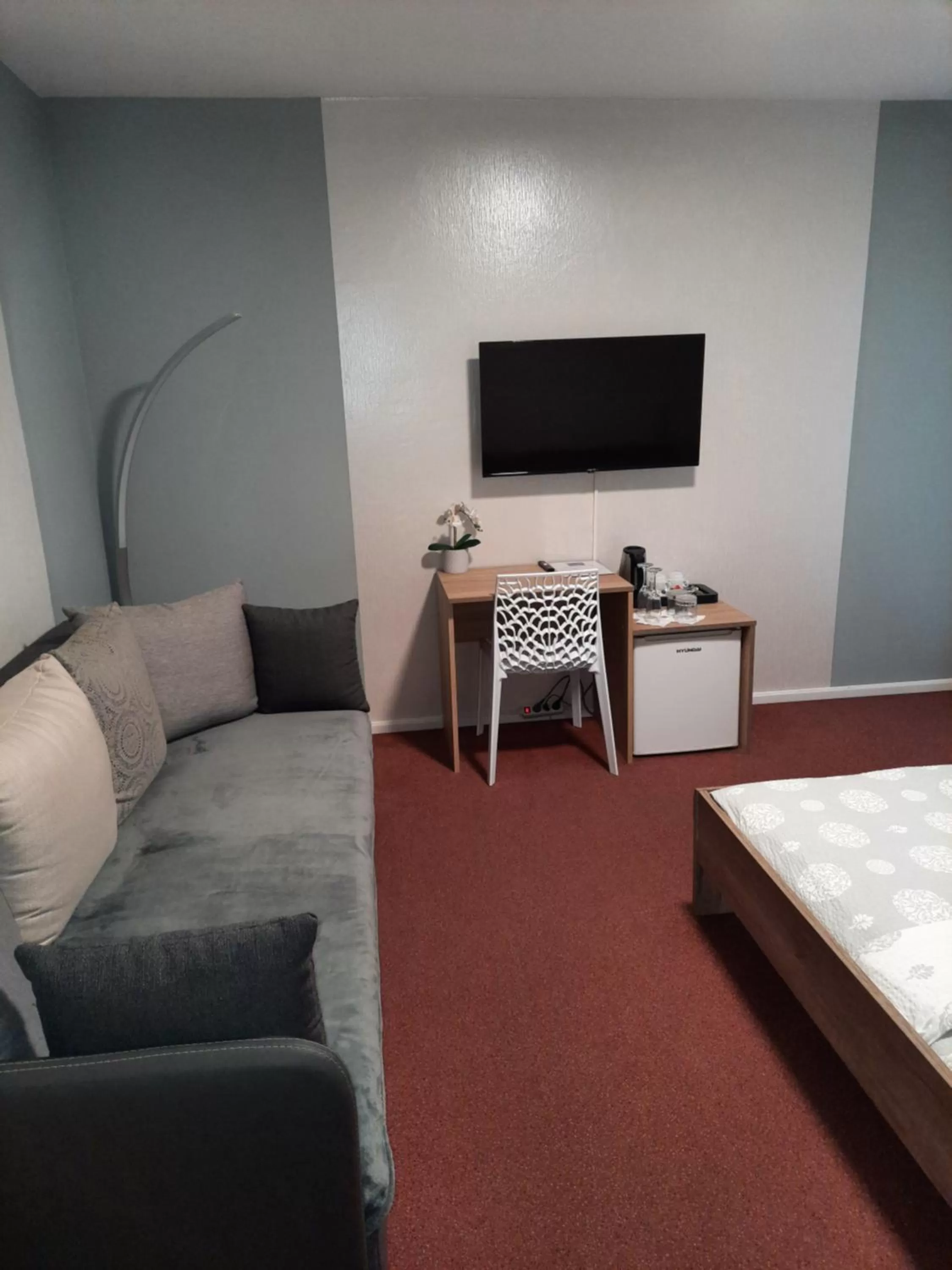 TV and multimedia in Hotel Boršičanka