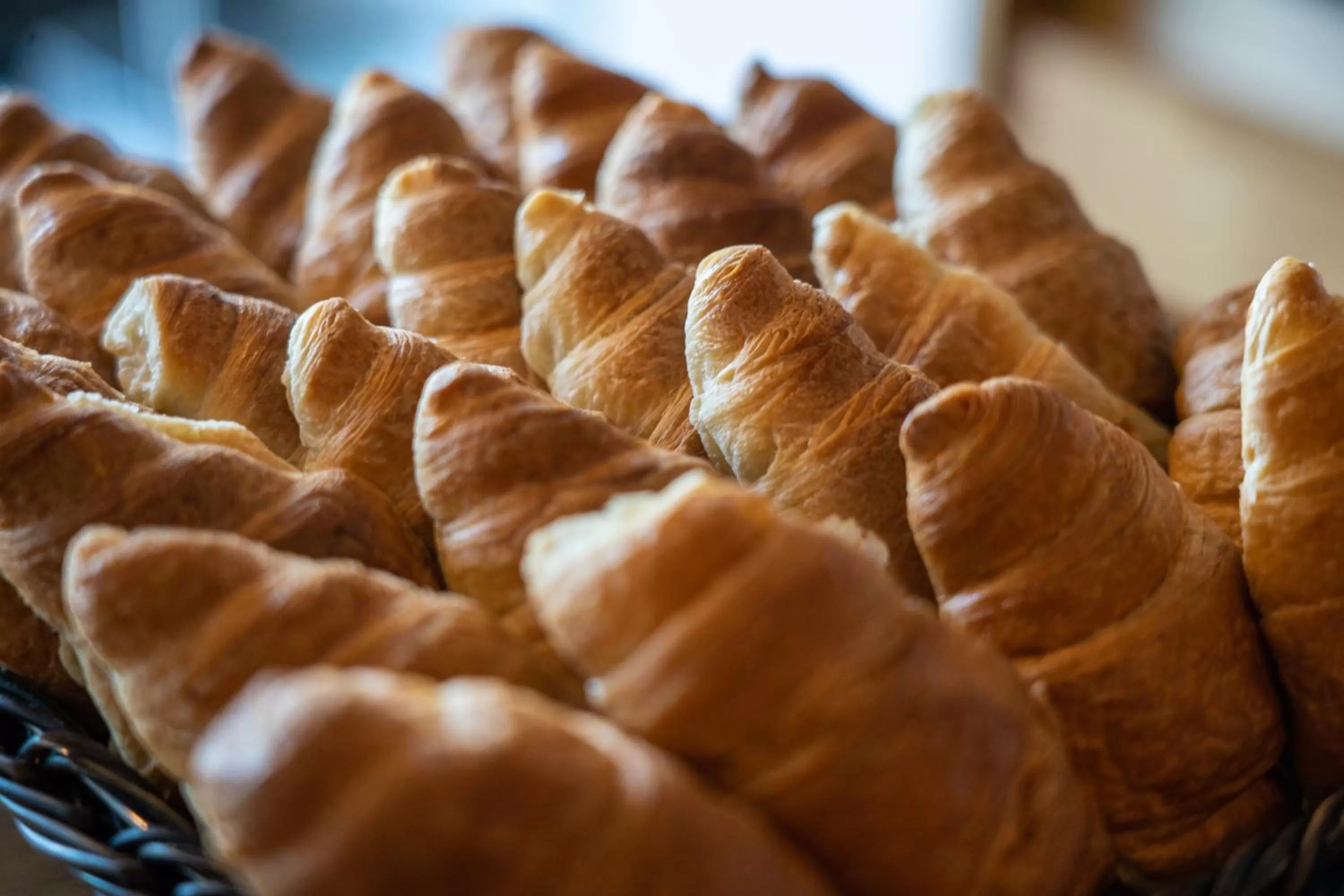 Hotel Spot Family Suites