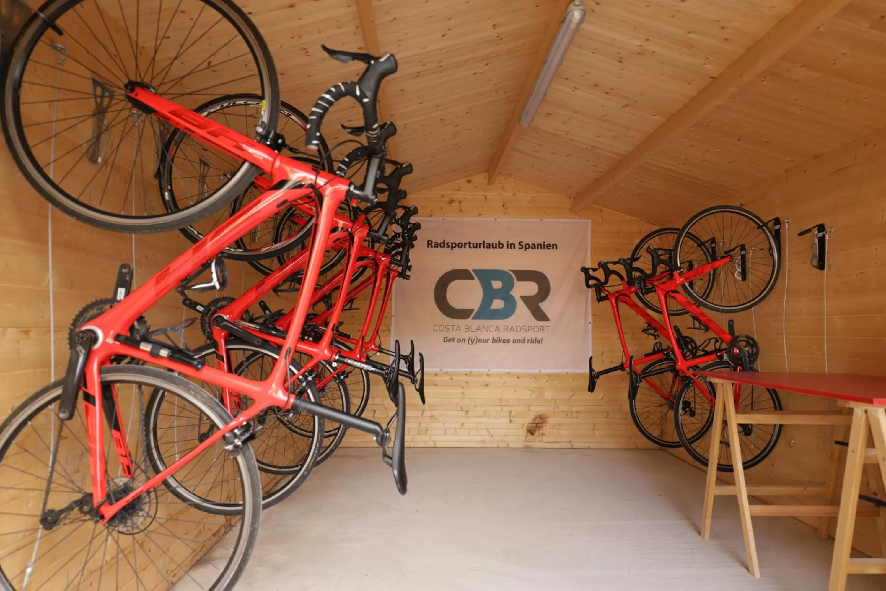 Activities in Hotel Noguera Mar