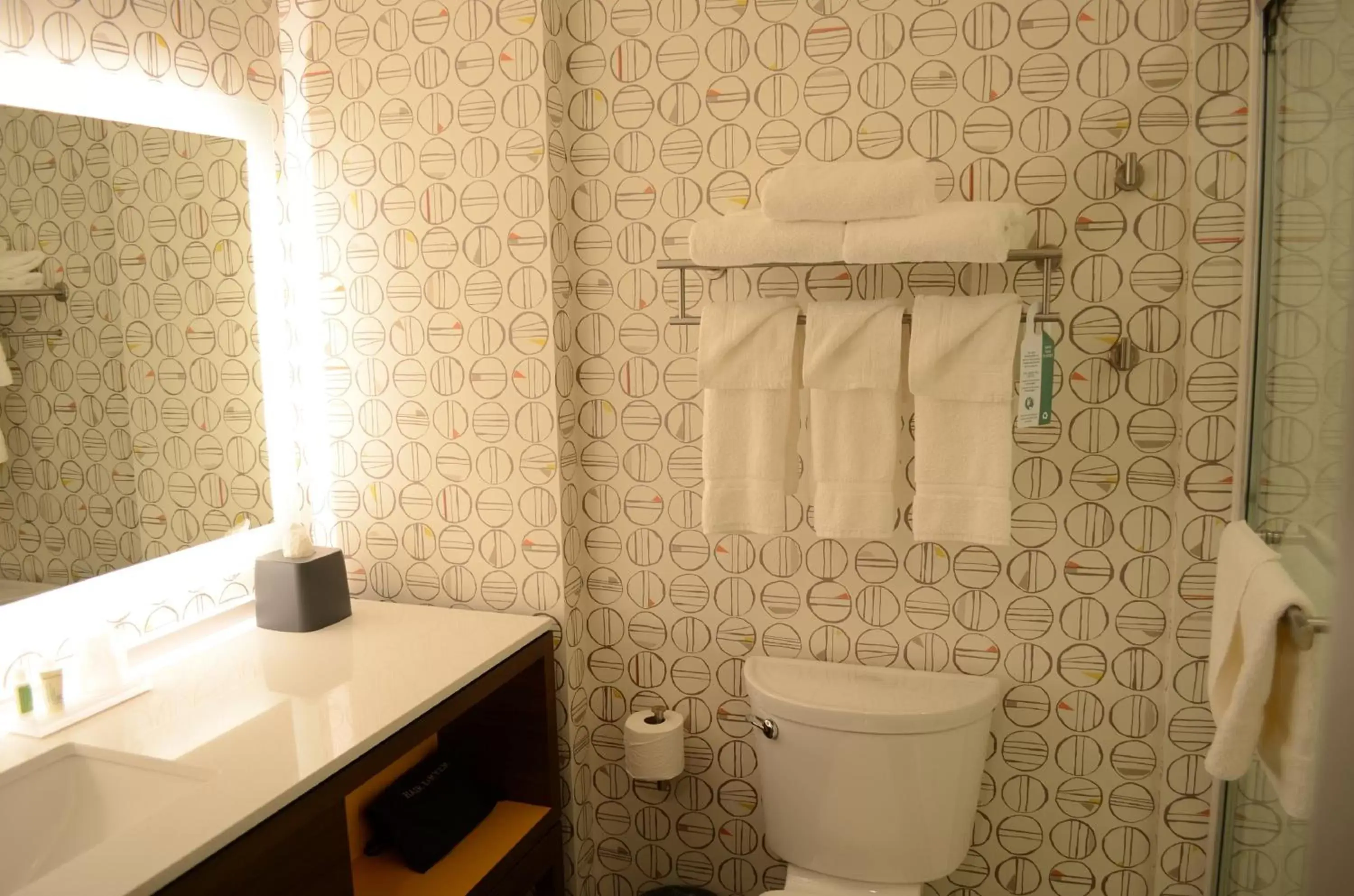 Bathroom in Holiday Inn Edmonton South - Evario Events, an IHG Hotel