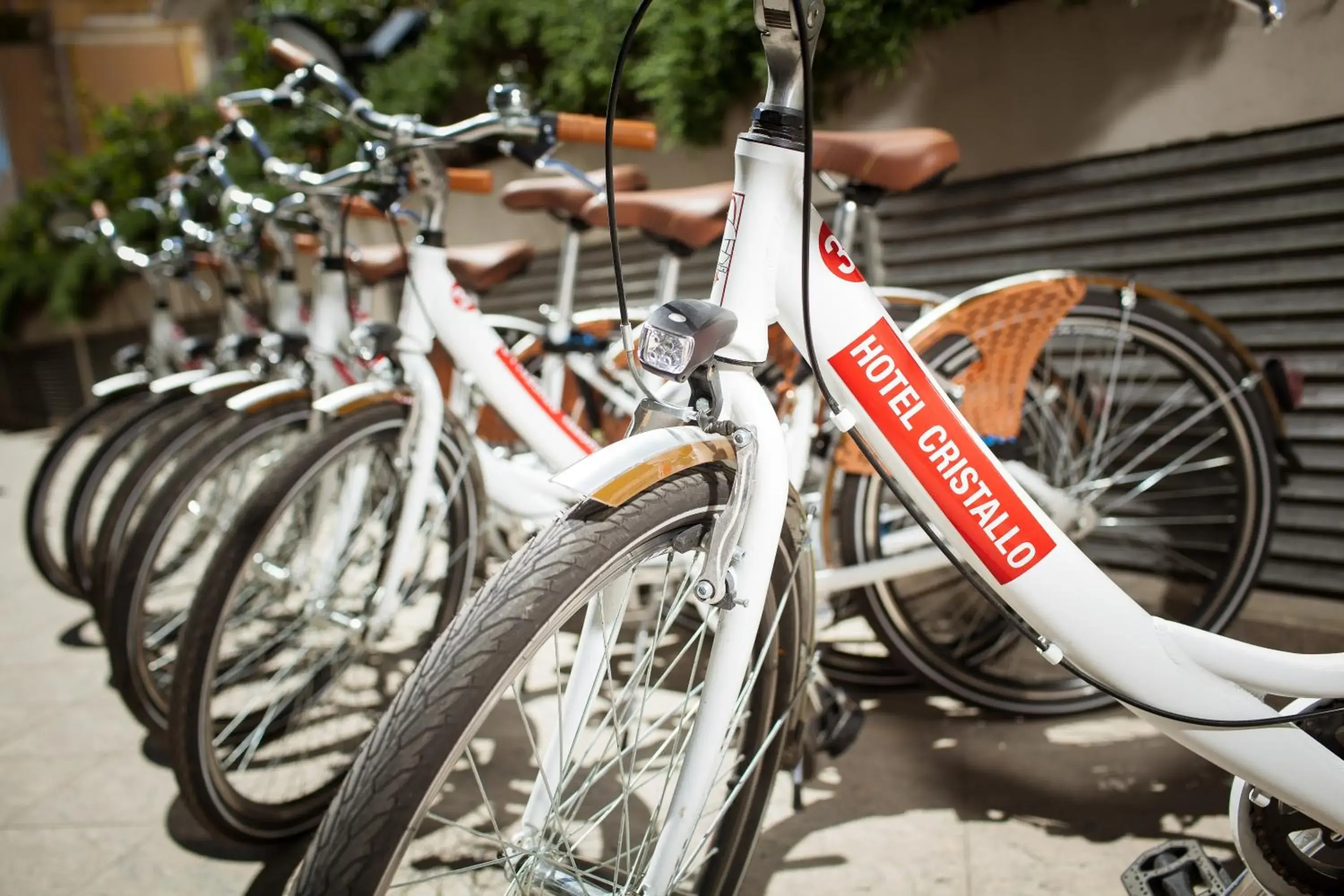 Area and facilities, Biking in Hotel Cristallo