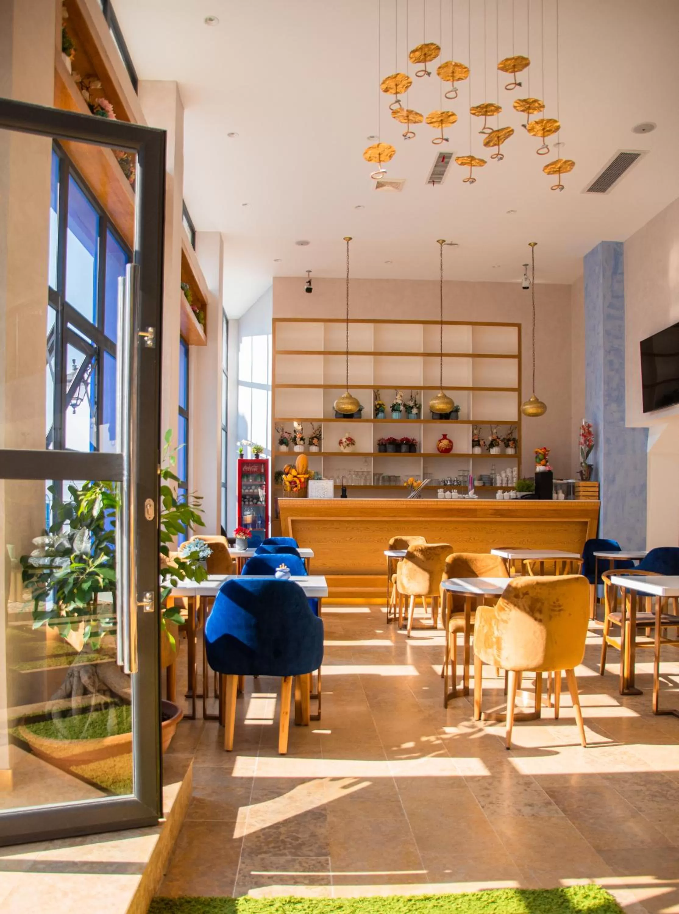 Diving in VANCII Hotel