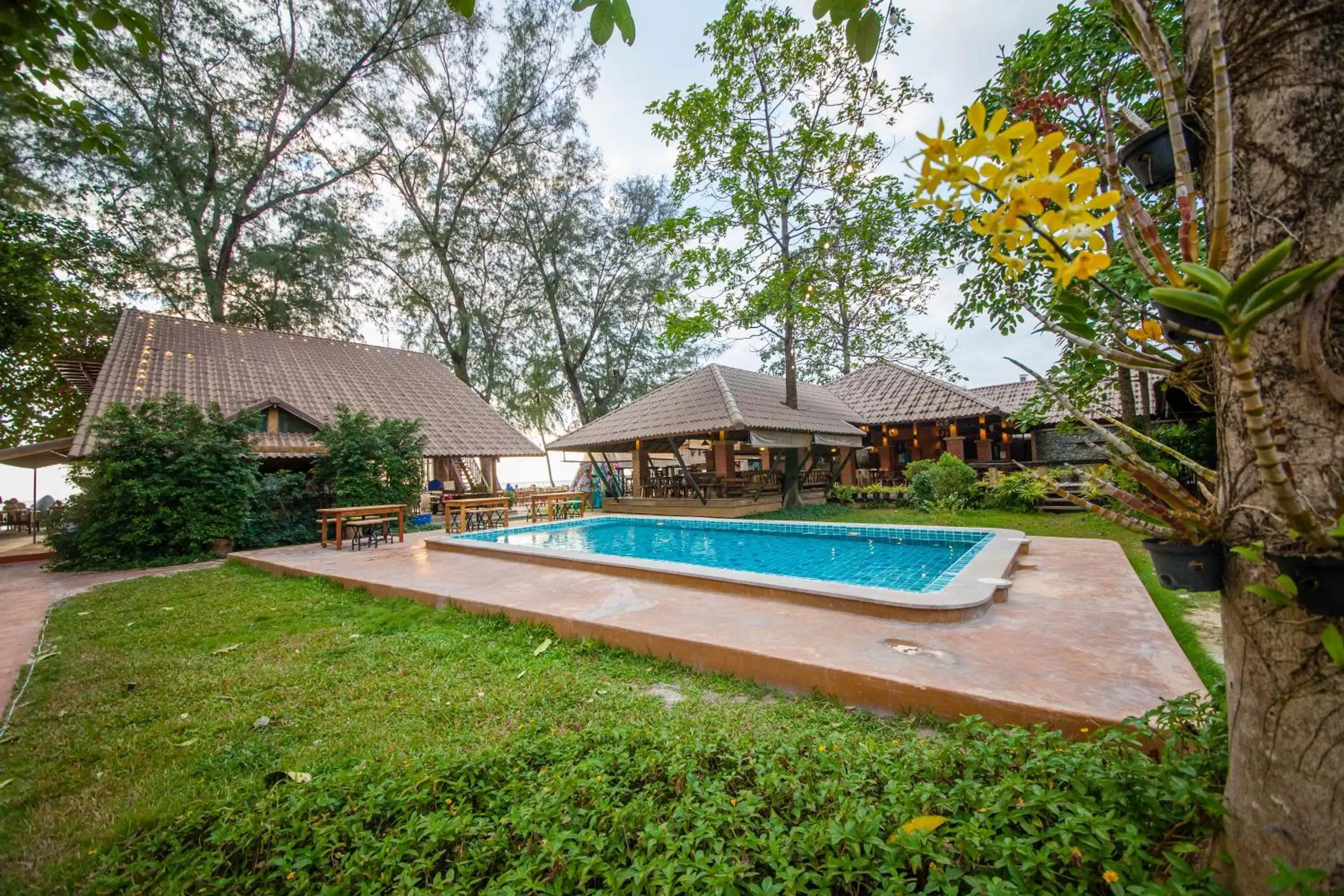 Pool view, Swimming Pool in Flora I Talay