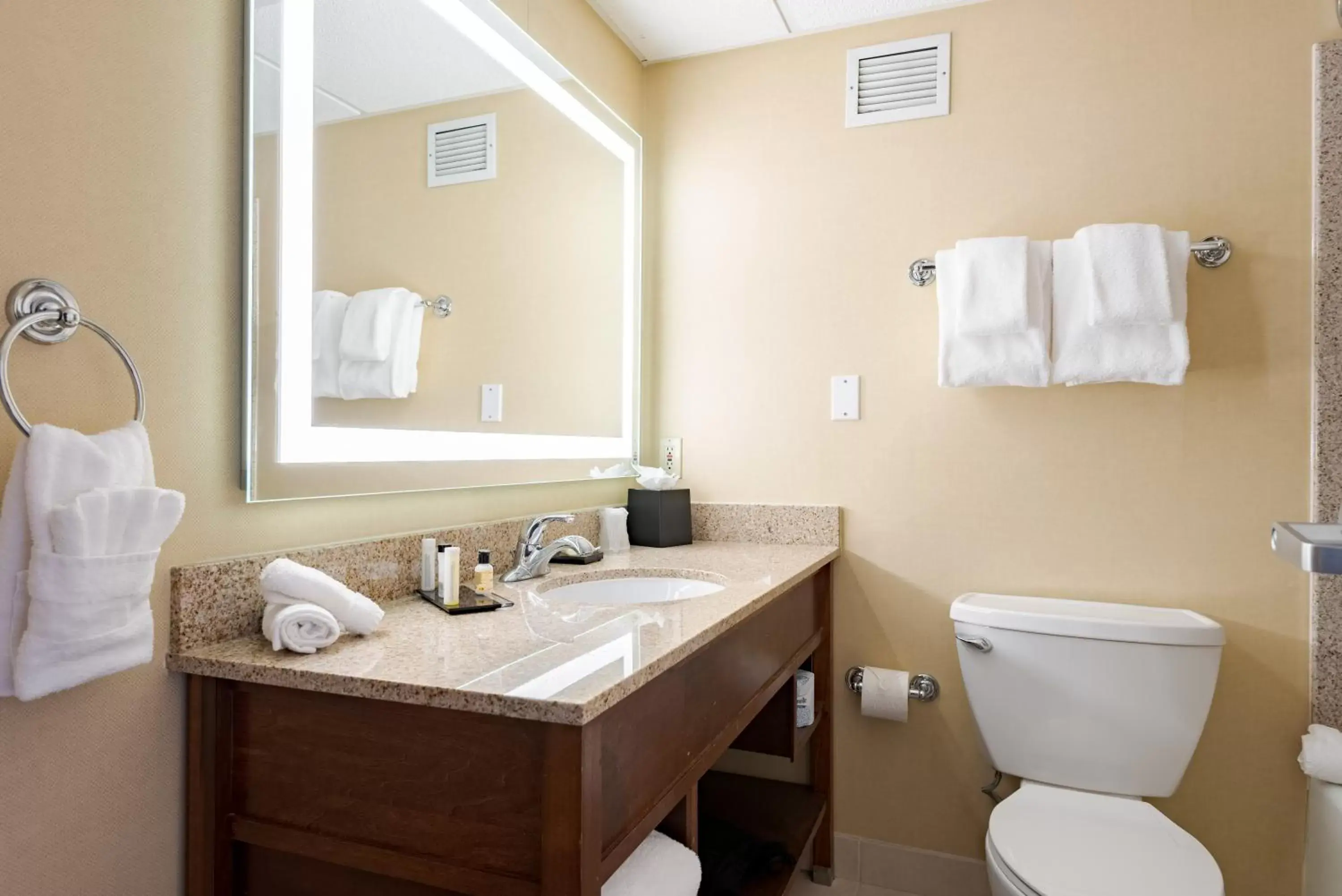 Bathroom in Wyndham Omaha Hotel - West Dodge