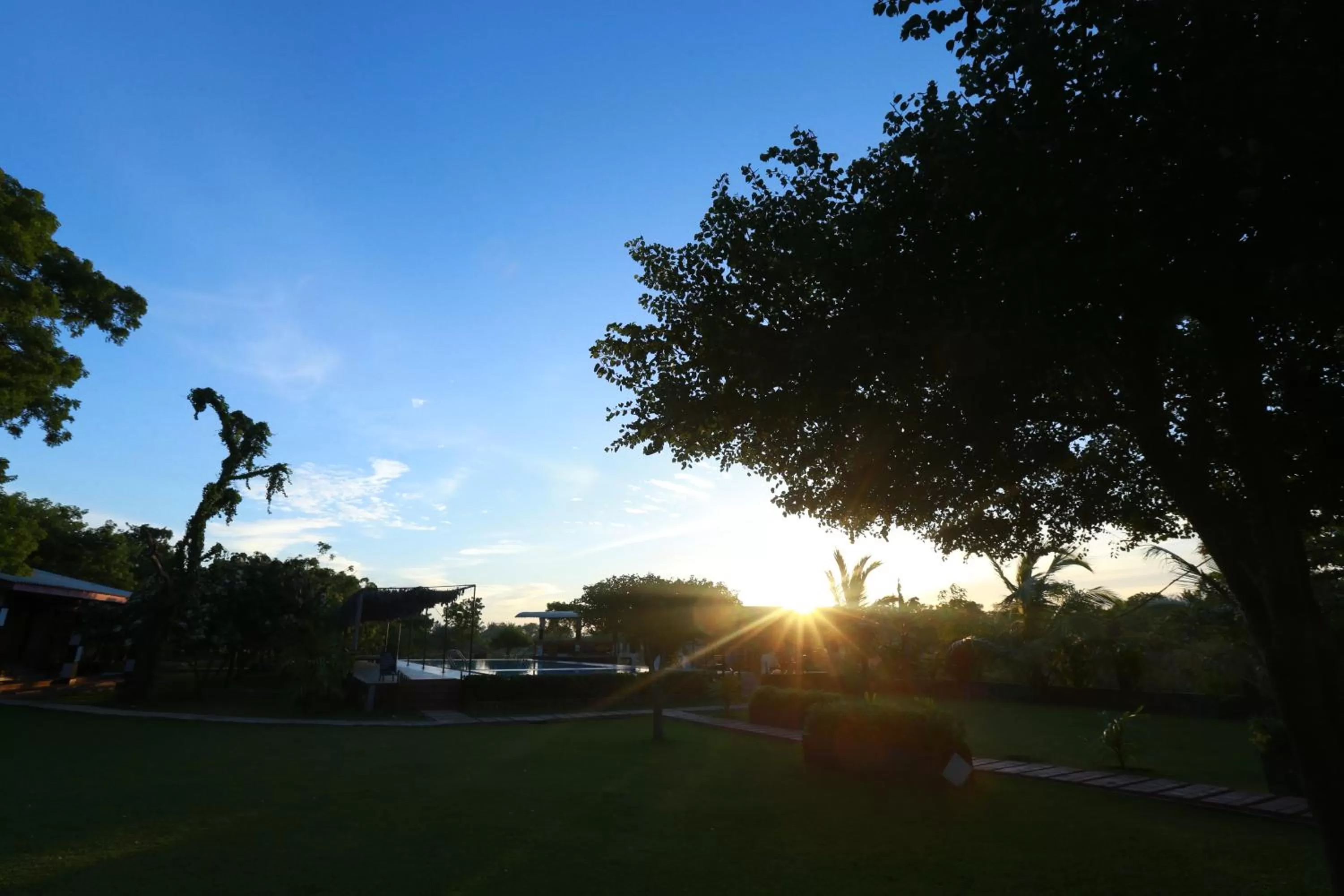 View (from property/room) in Eco Hotel Black & White - Anuradhapura