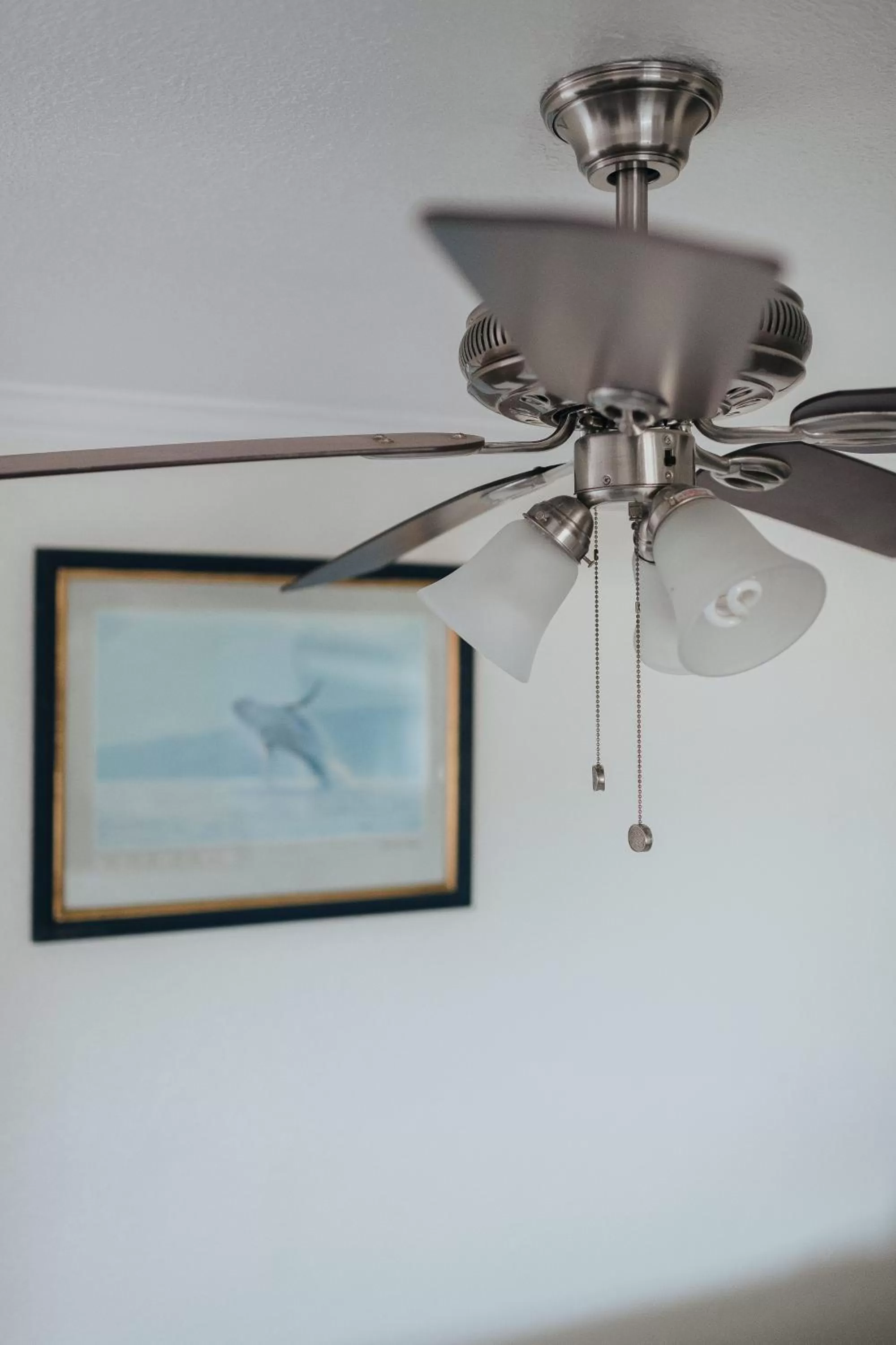 Bedroom in Sea Air Inn & Suites - Downtown - Restaurant Row