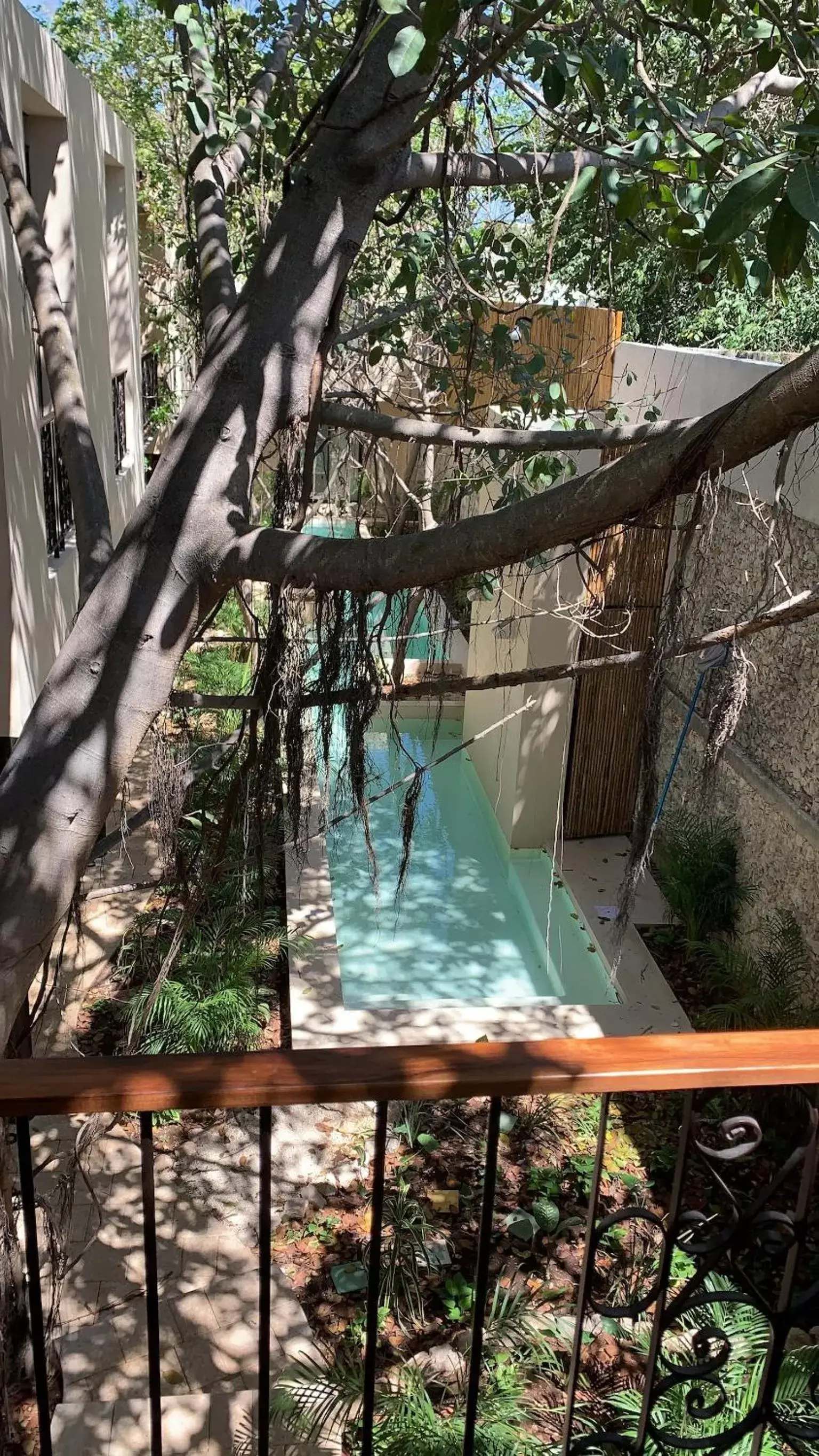 Pool view, Swimming Pool in TreeHouse Boutique Hotel, an adults only boutique hotel