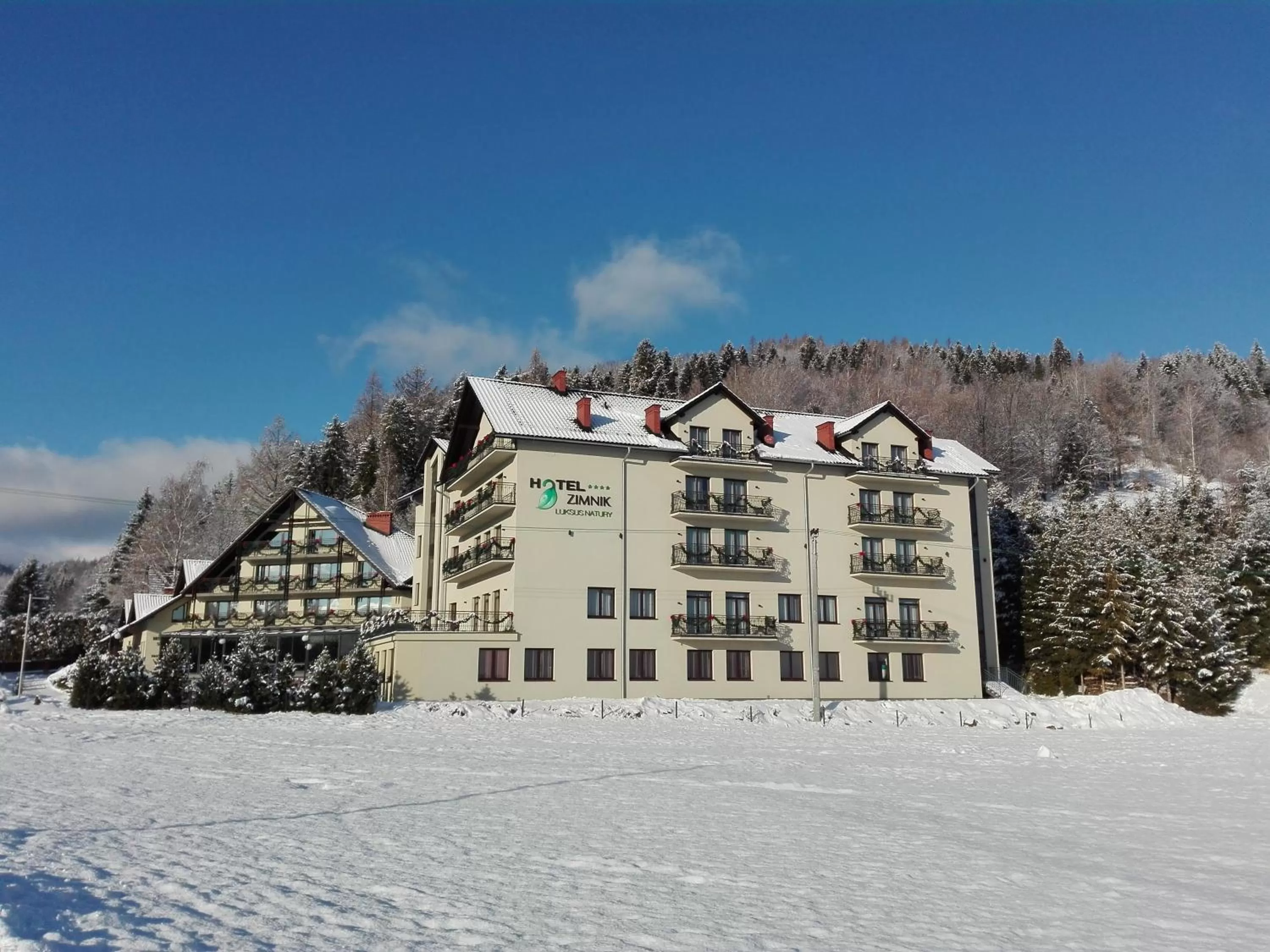 Winter in Hotel Zimnik Luksus Natury Spa & Wellness