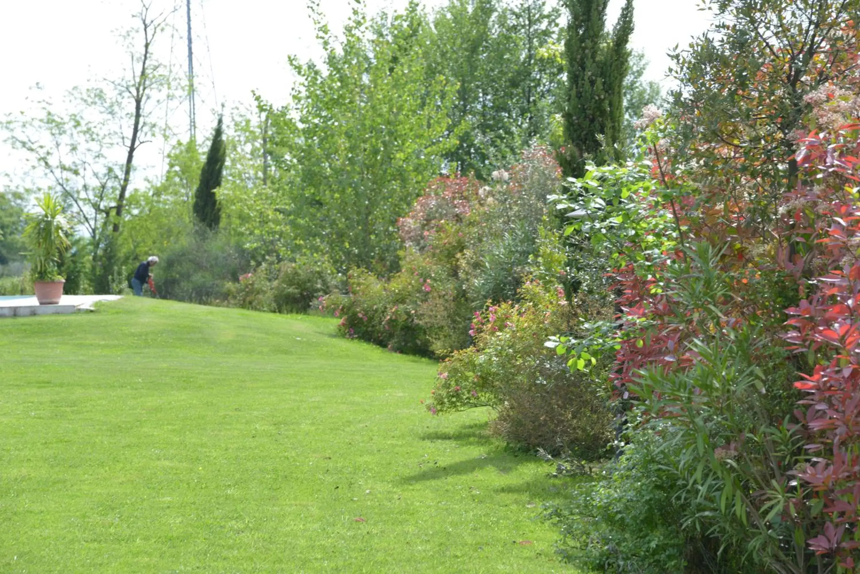 Garden view, Garden in Casa Fontanino