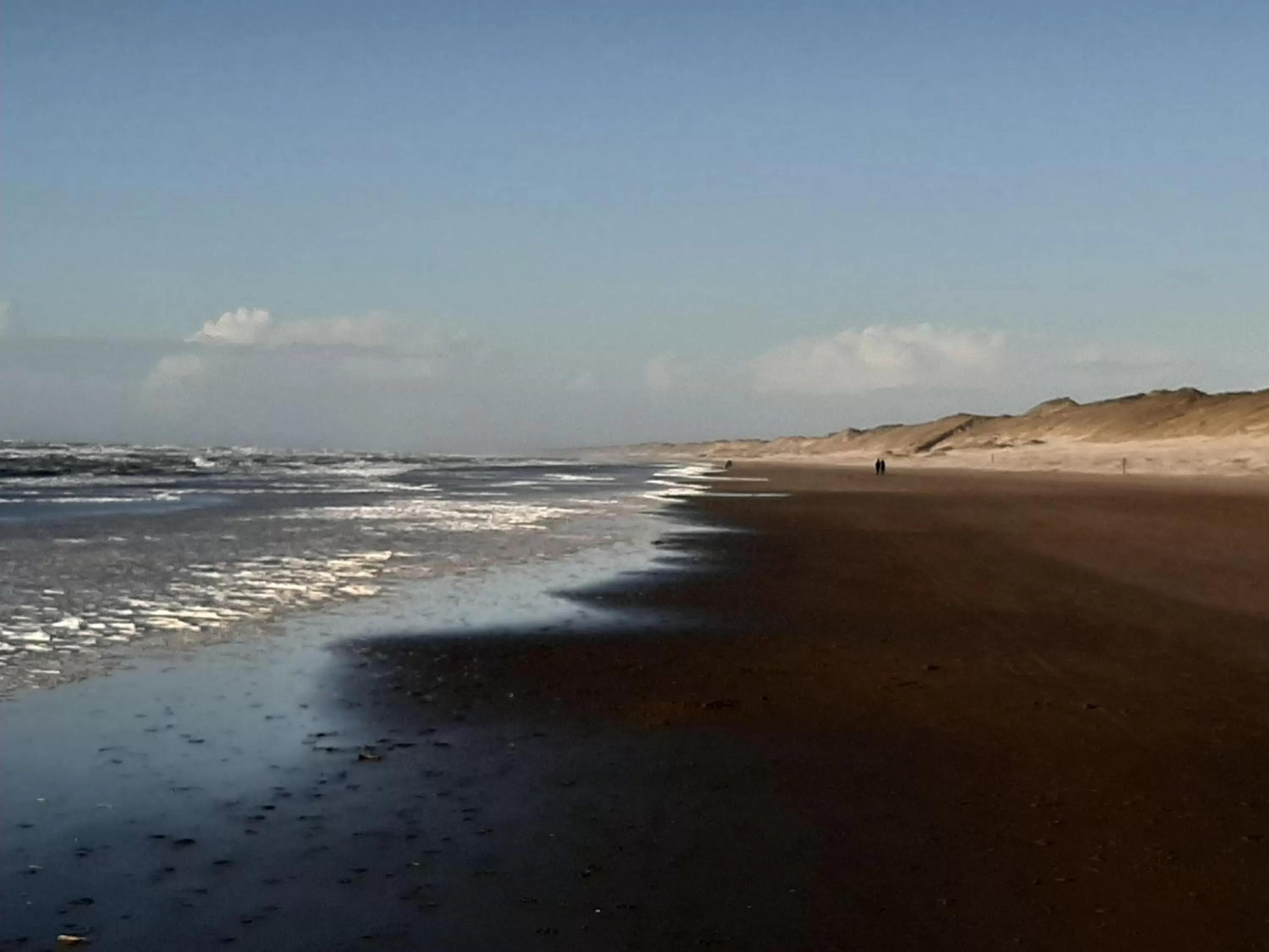 Day in Mi BnB Amsterdam