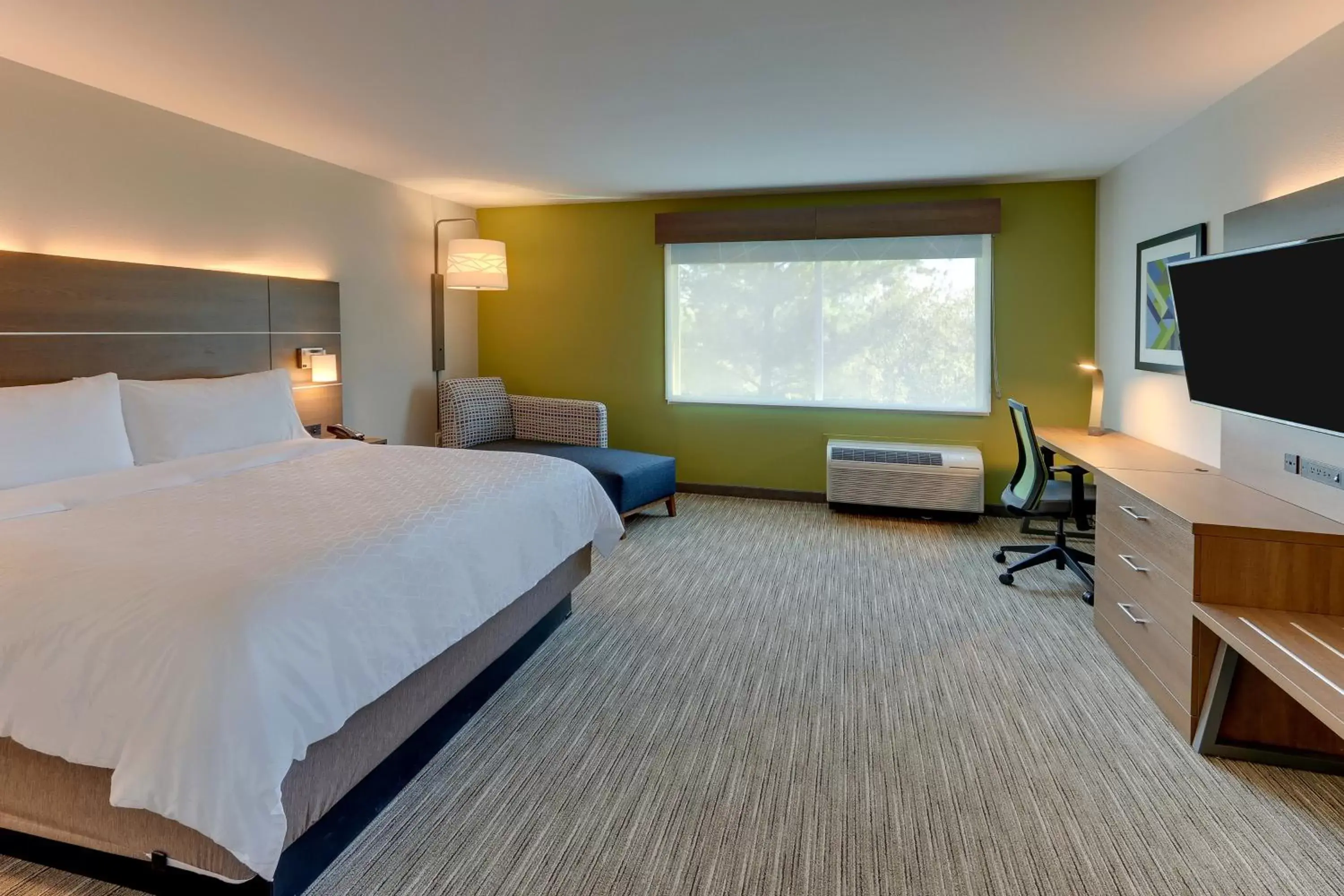 Photo of the whole room in Holiday Inn Express & Suites - Roanoke – Civic Center