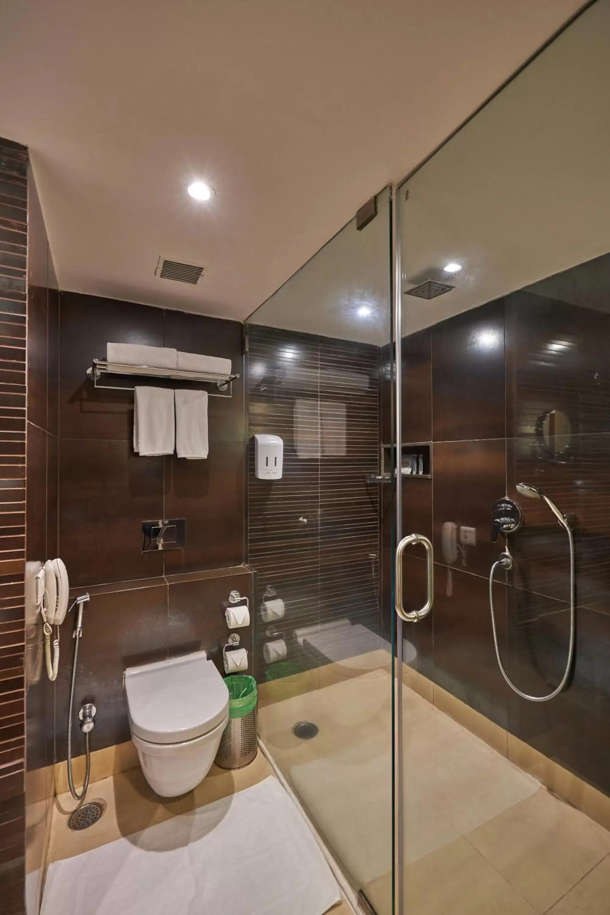 Bathroom in Royal Orchid Central Grazia, Navi Mumbai