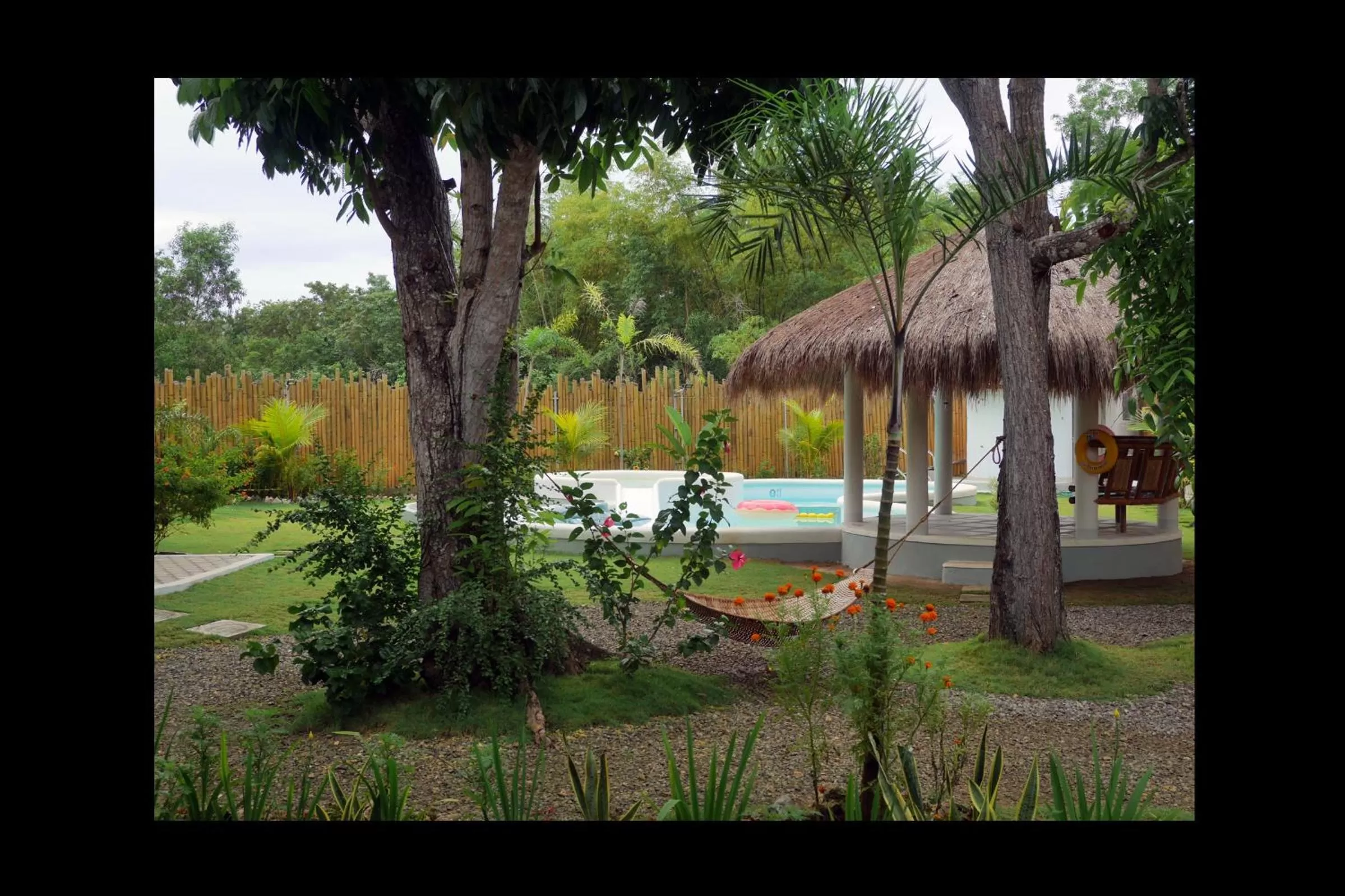 Garden in Bohol Dreamcatcher Resort