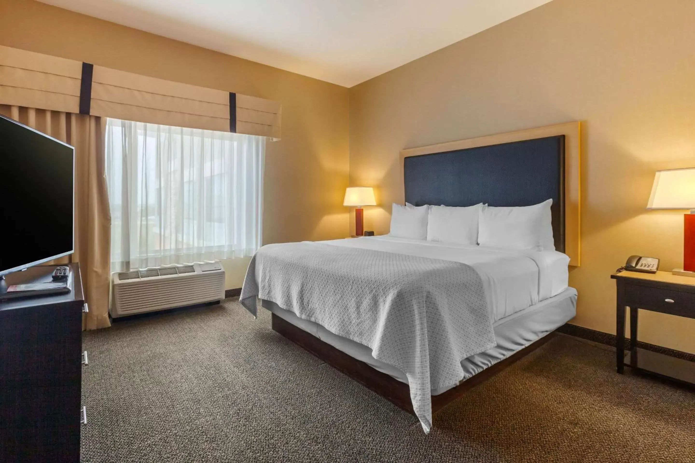 King Suite with Mountain View - Accessible/Non-Smoking in Cambria Hotel Denver International Airport