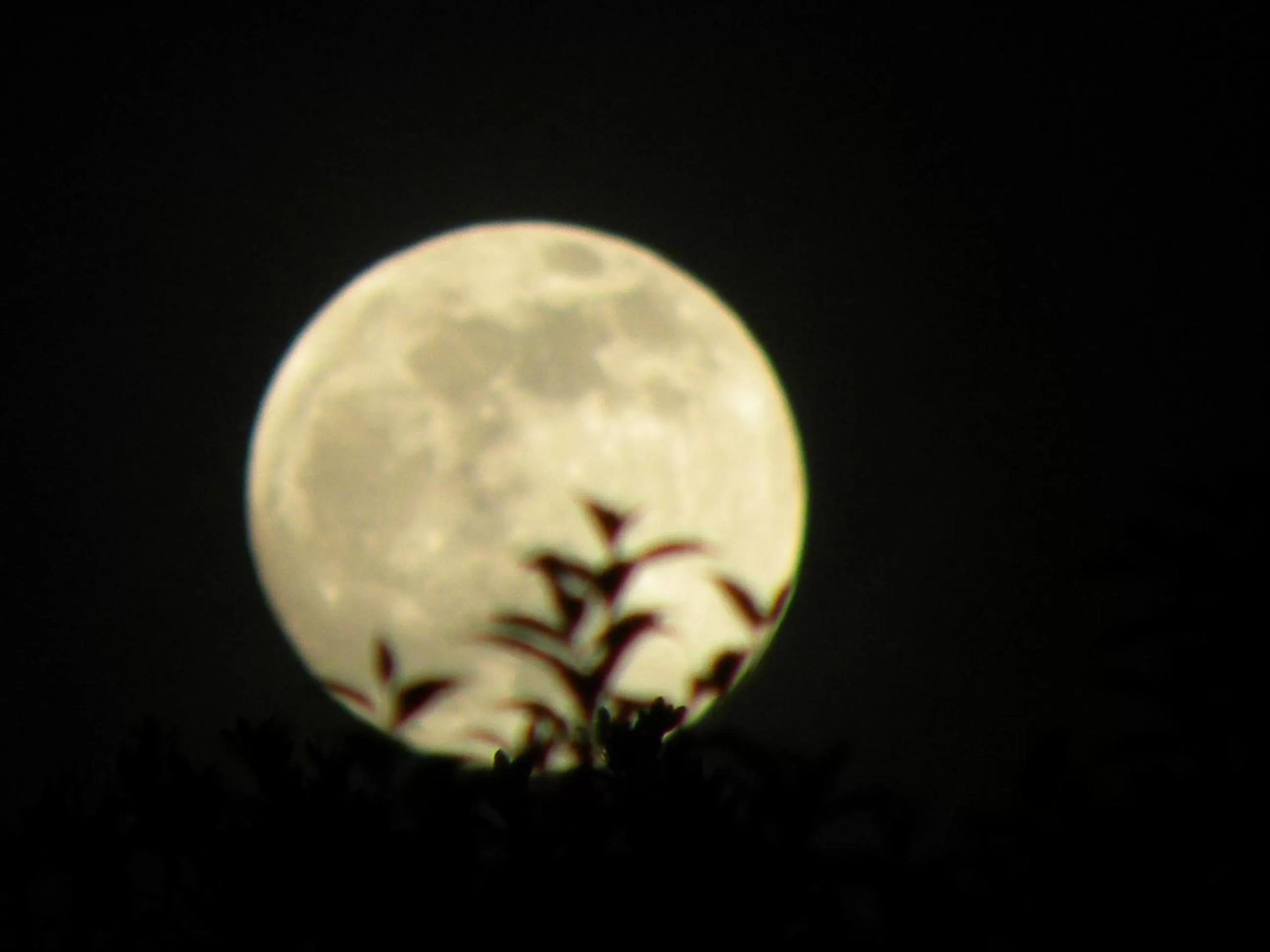 Natural landscape in Spirit Tree Inn B&B