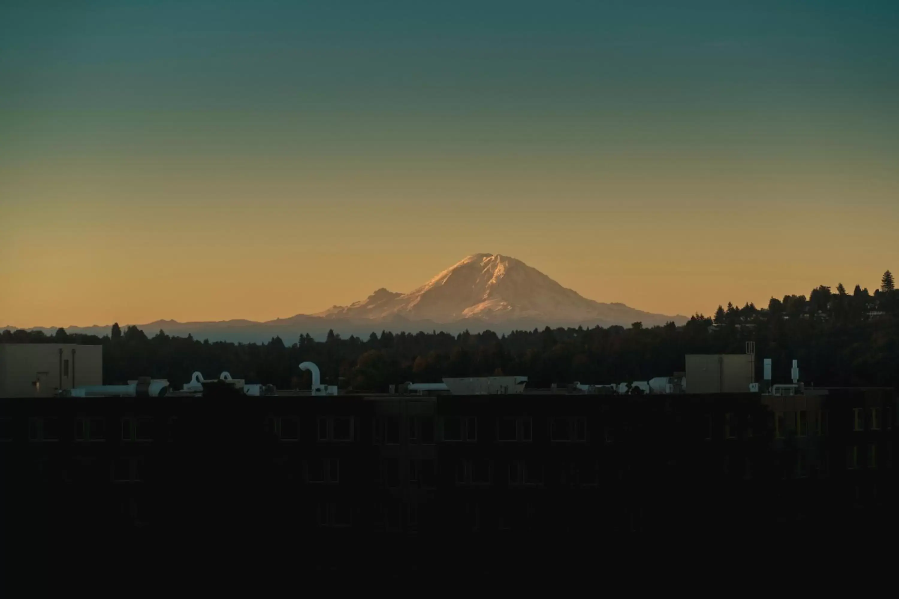 Mountain view in Staypineapple, Watertown, University District Seattle