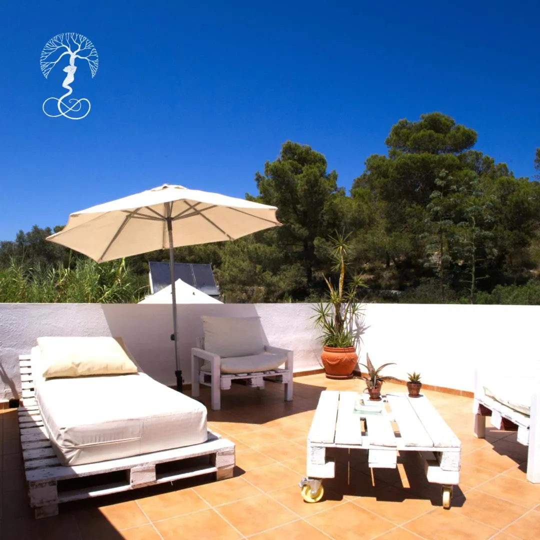 Patio in Boutique Hostal La Curandera de Salinas