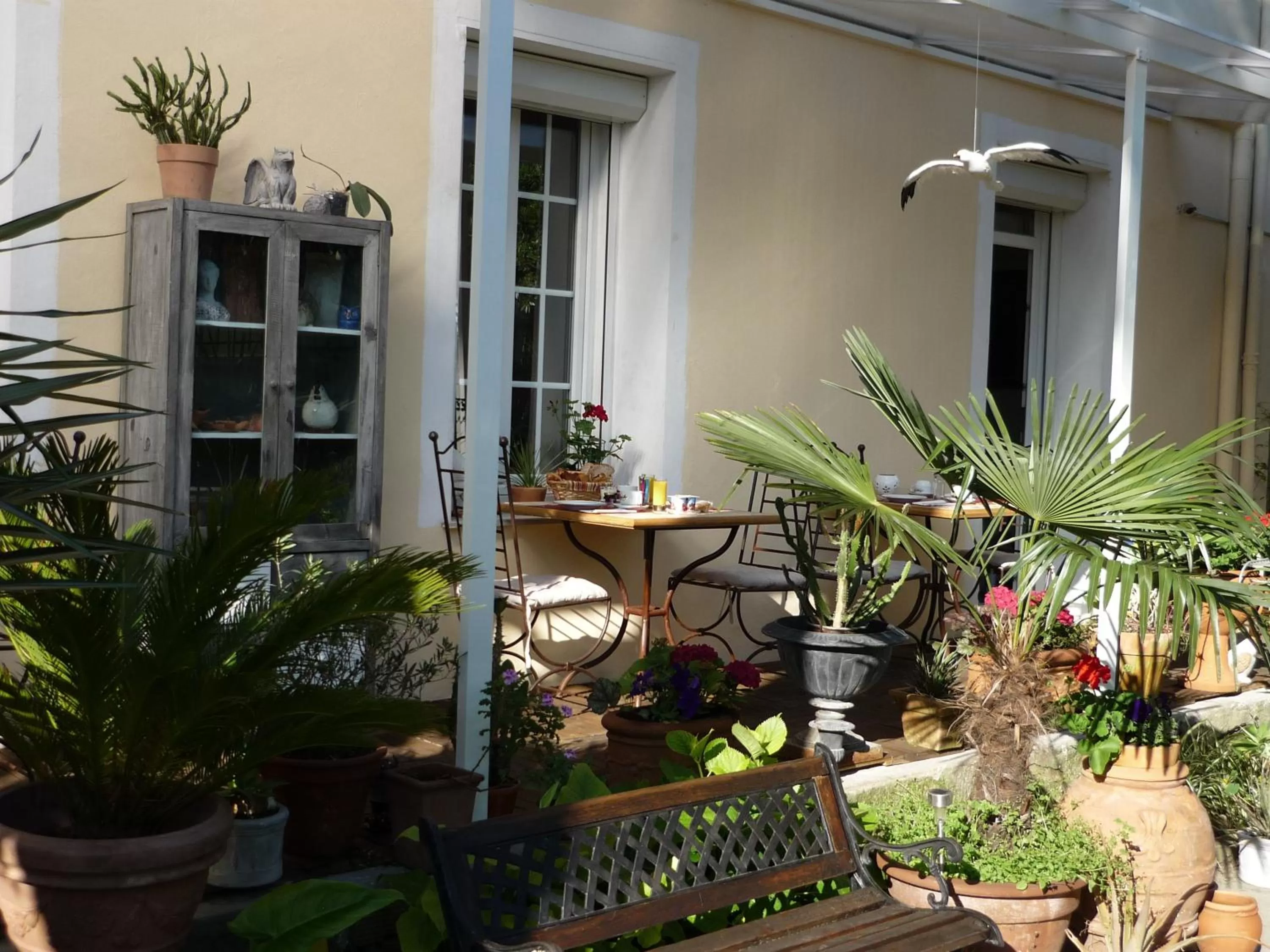 Balcony/Terrace in Logis Hôtel Villa Victorine