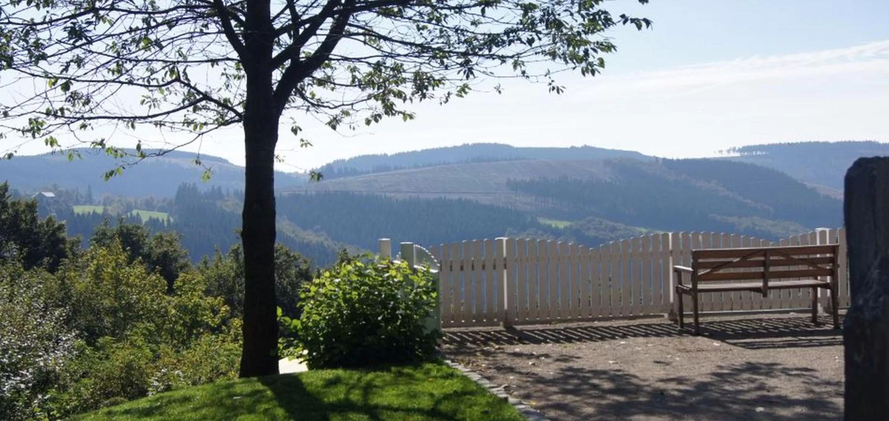 Natural landscape, Mountain View in Waldhaus Ohlenbach