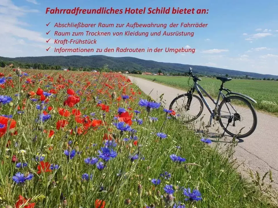 Activities in Hotel Schild