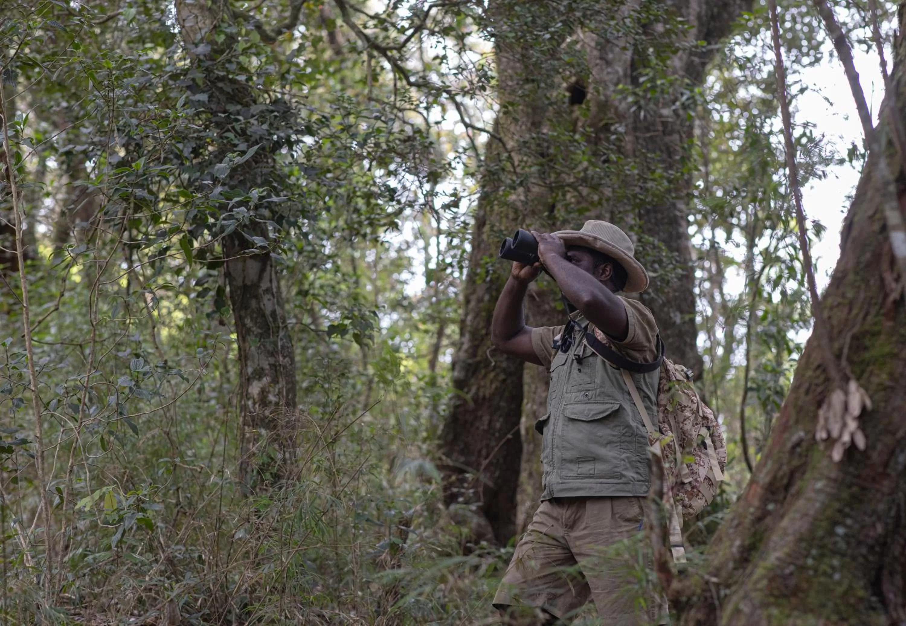Natural landscape in Heritance Tea Factory