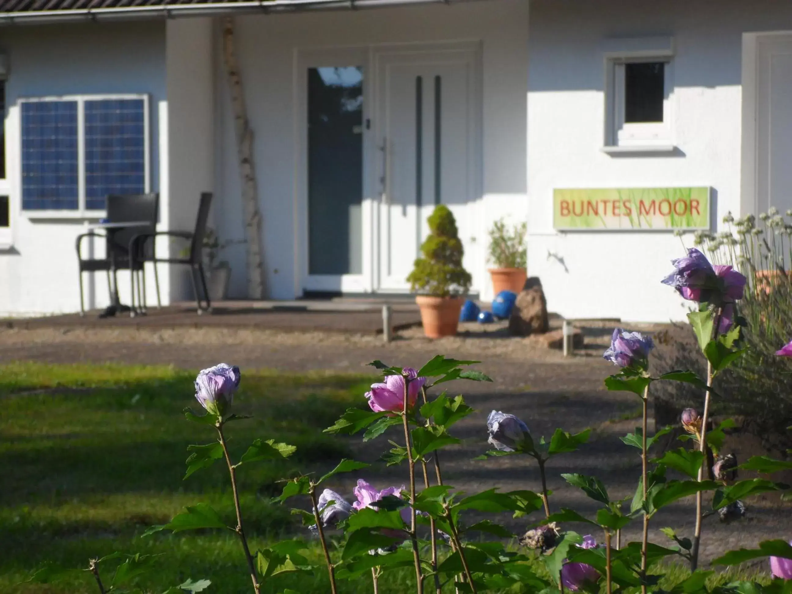 Property Building in Buntes Moor