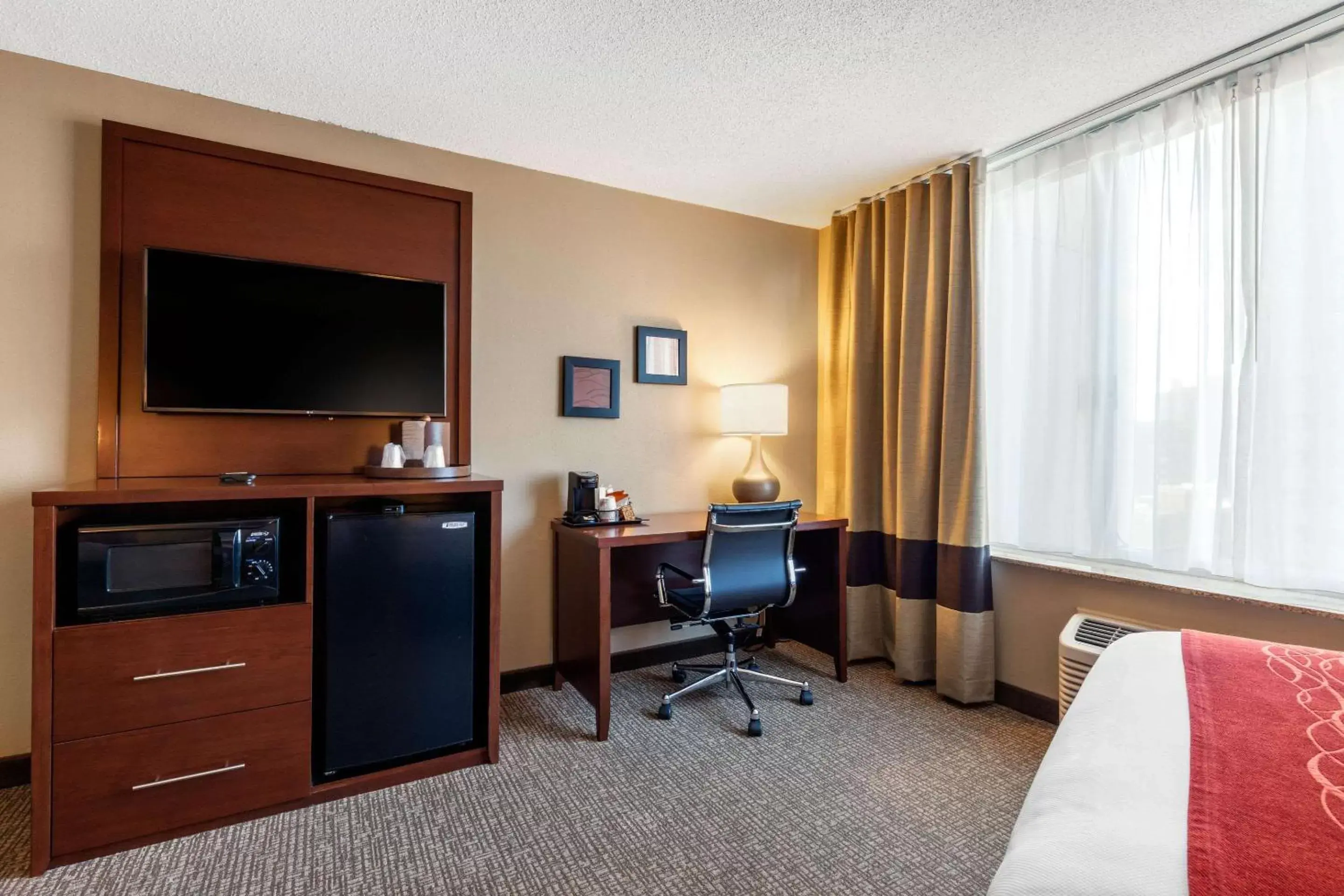 Photo of the whole room, TV/Entertainment Center in Comfort Inn Memphis Downtown