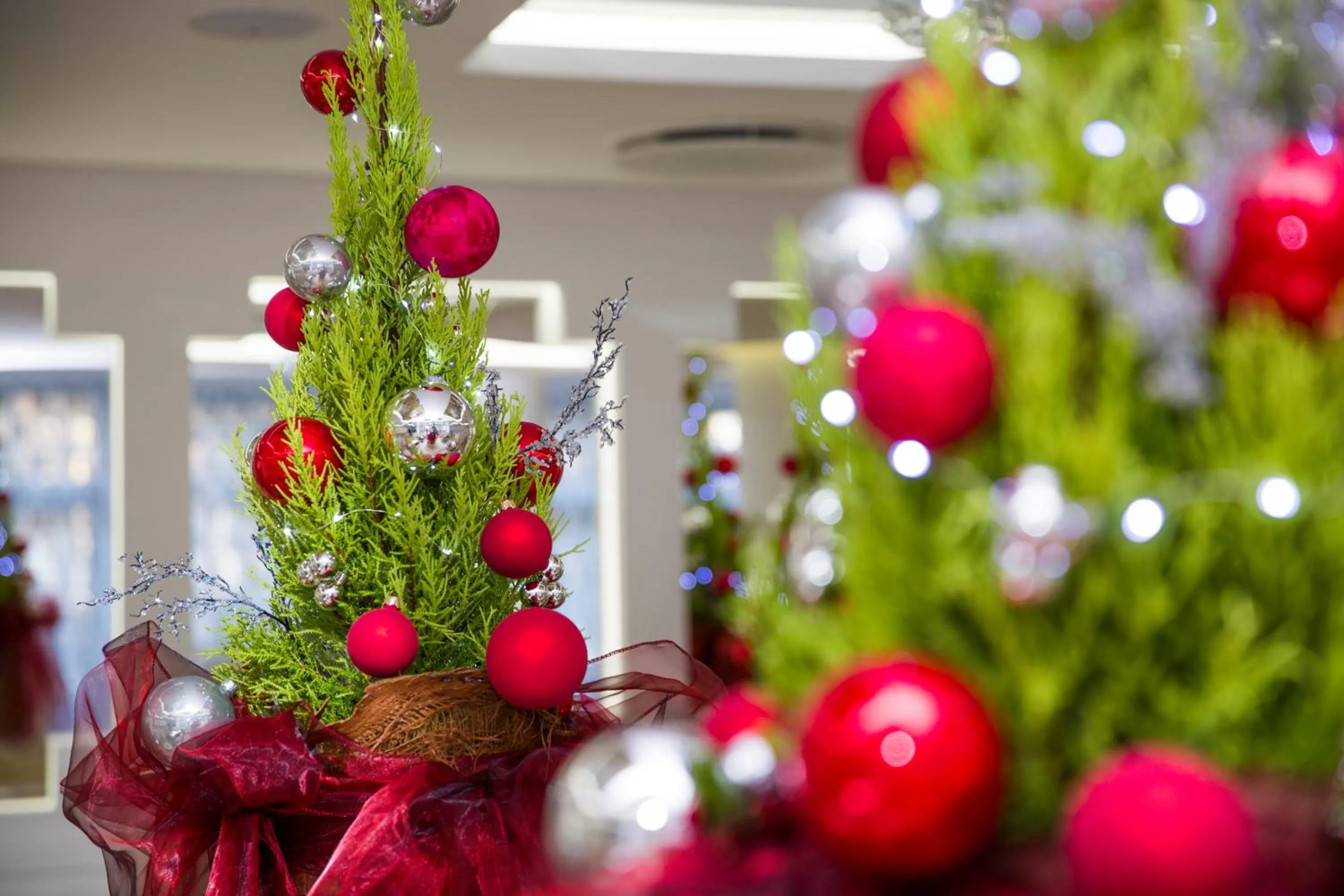 Hotel Jantar Wellness & Spa